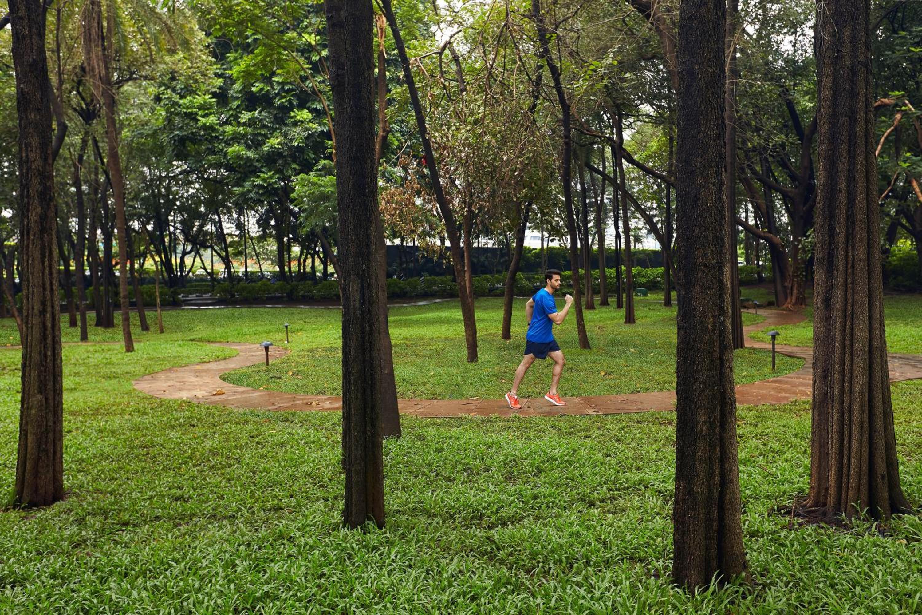 Mumbai Vacations - The Westin Mumbai Garden City - Property Image 8