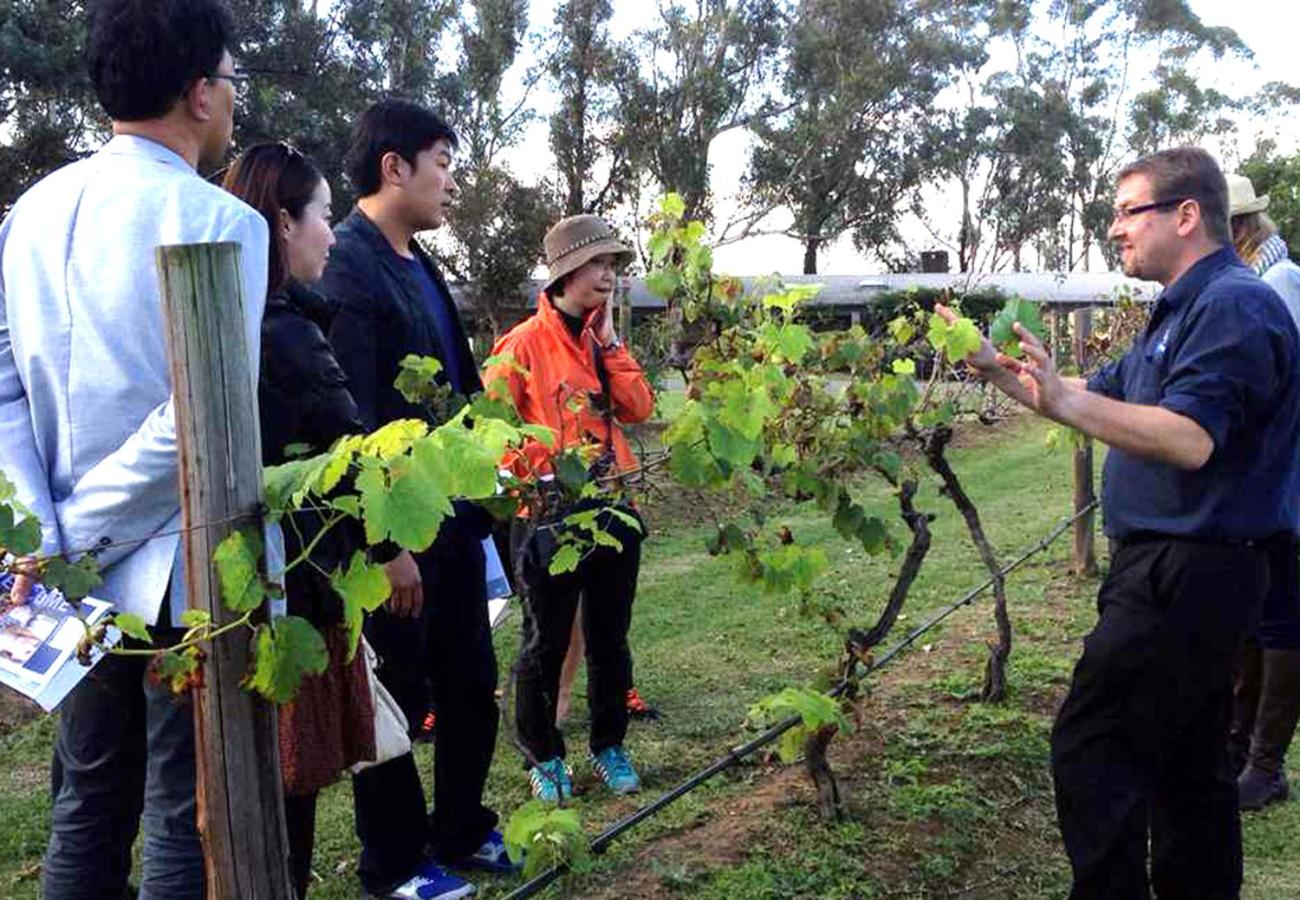 Hunter Valley Resort, Hunter Farm Adventure Centre & 4 Pines at the Farm