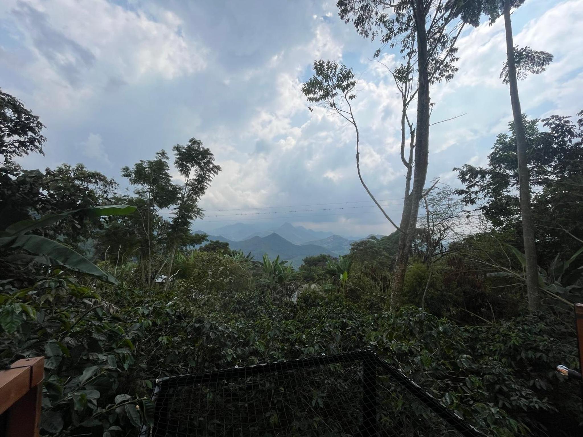 Cabaña Los Cedros