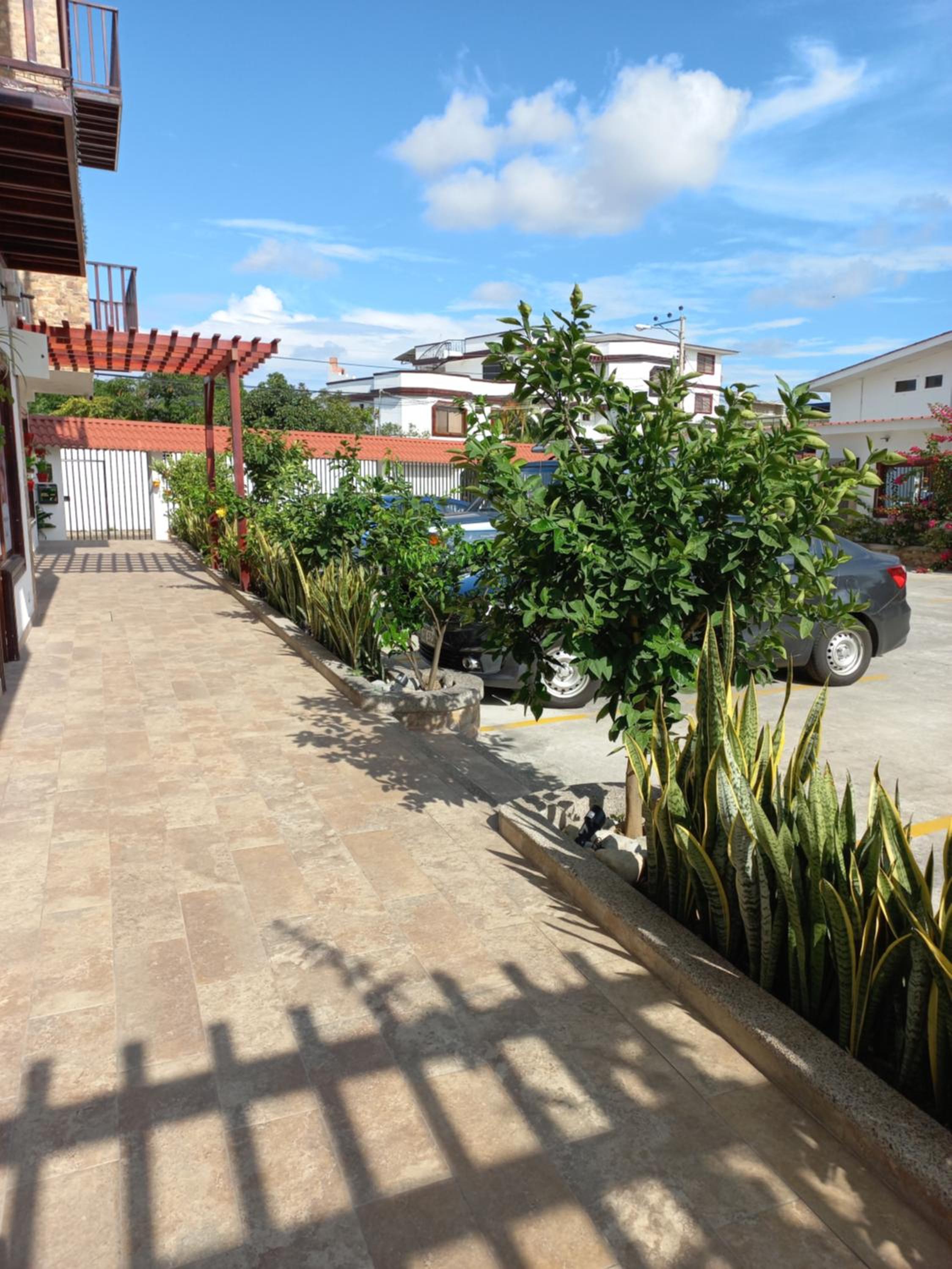 Katamar
