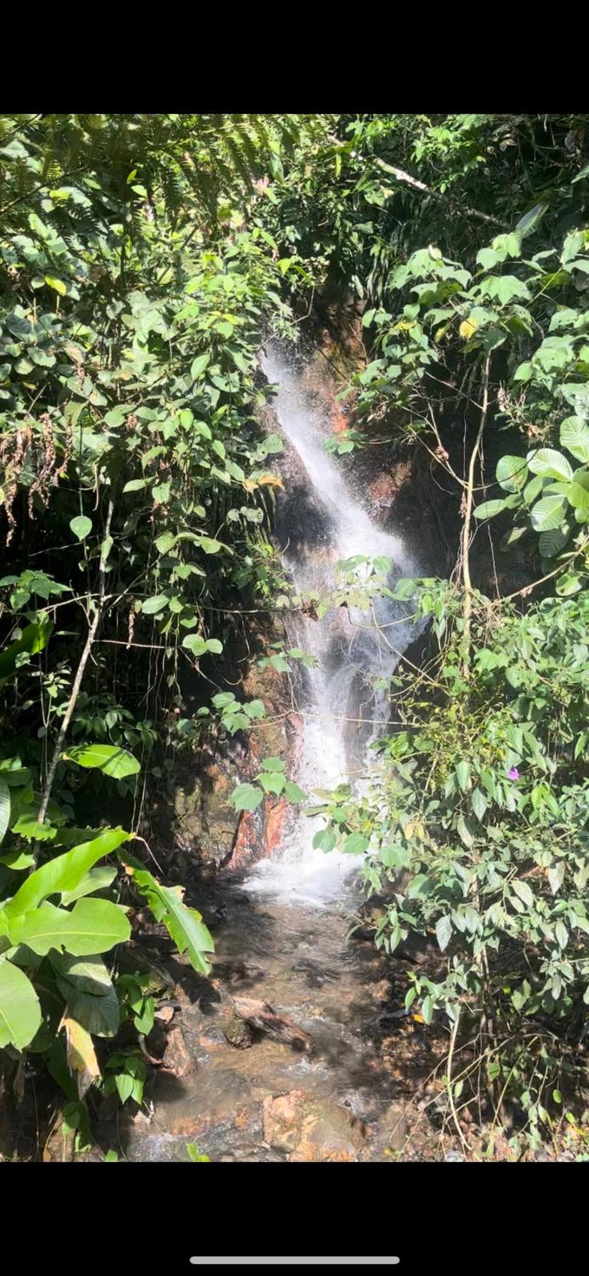 Cabaña Los Cedros
