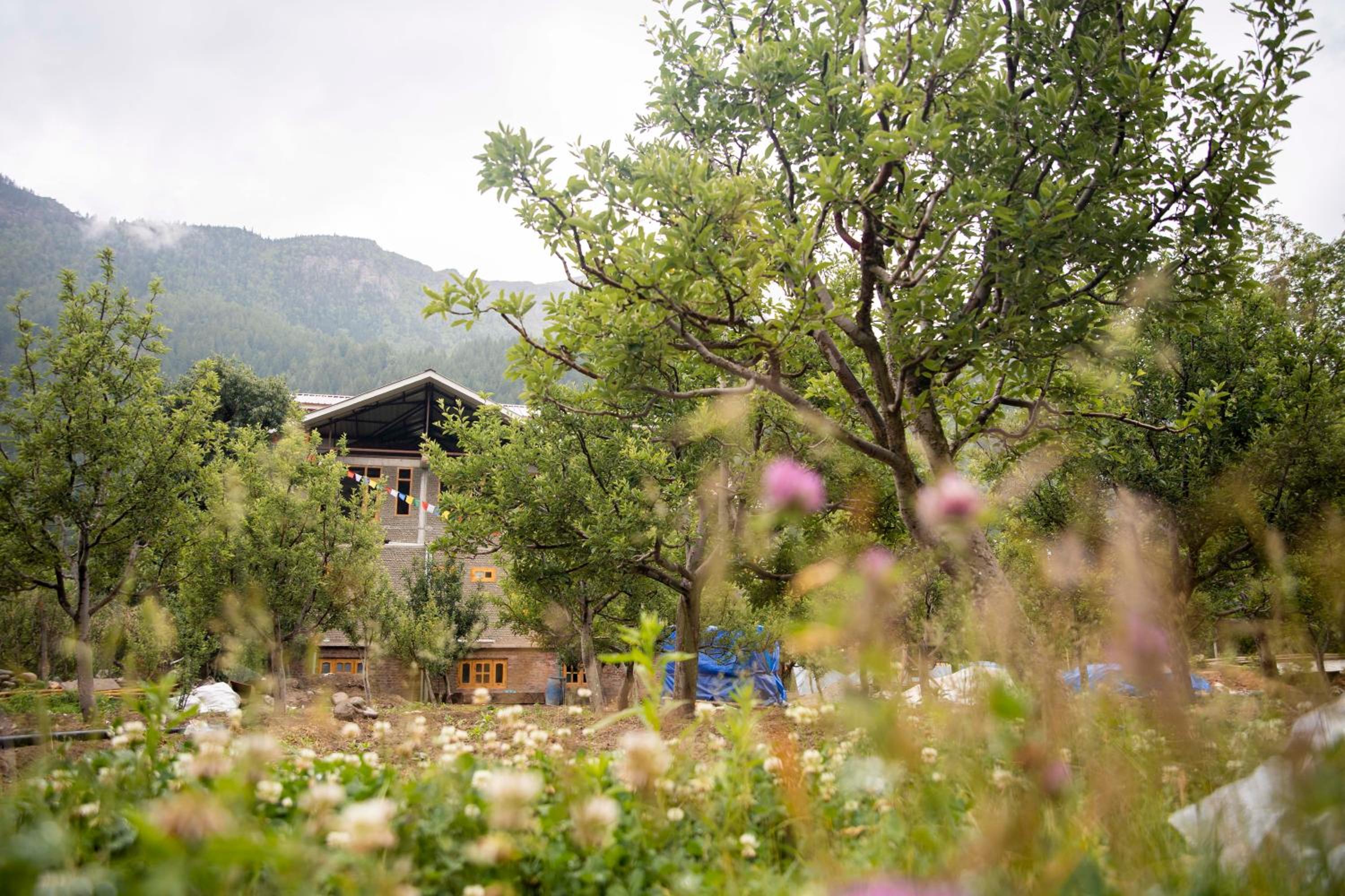 Photo 42