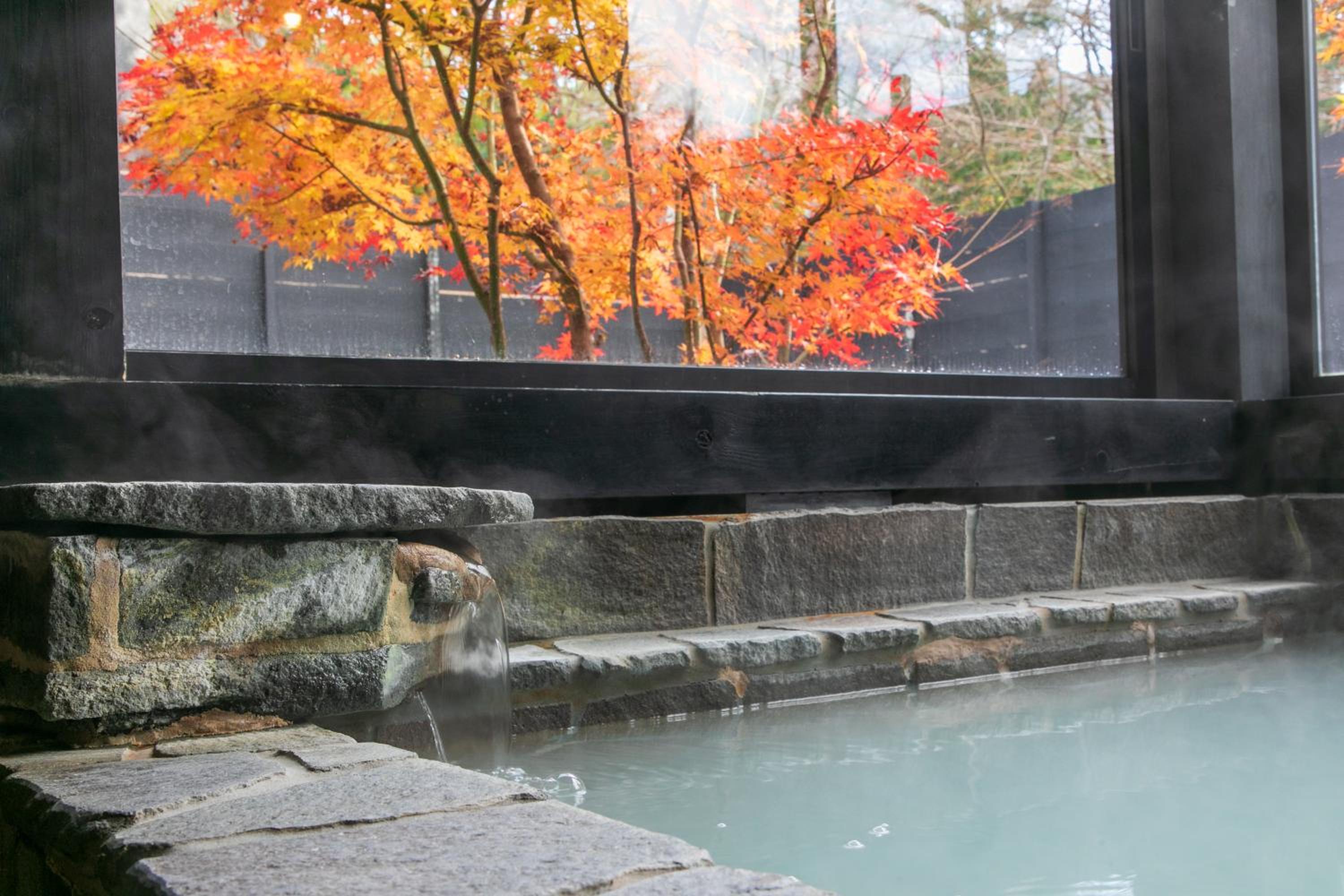 Sengokuhara Hisanoha