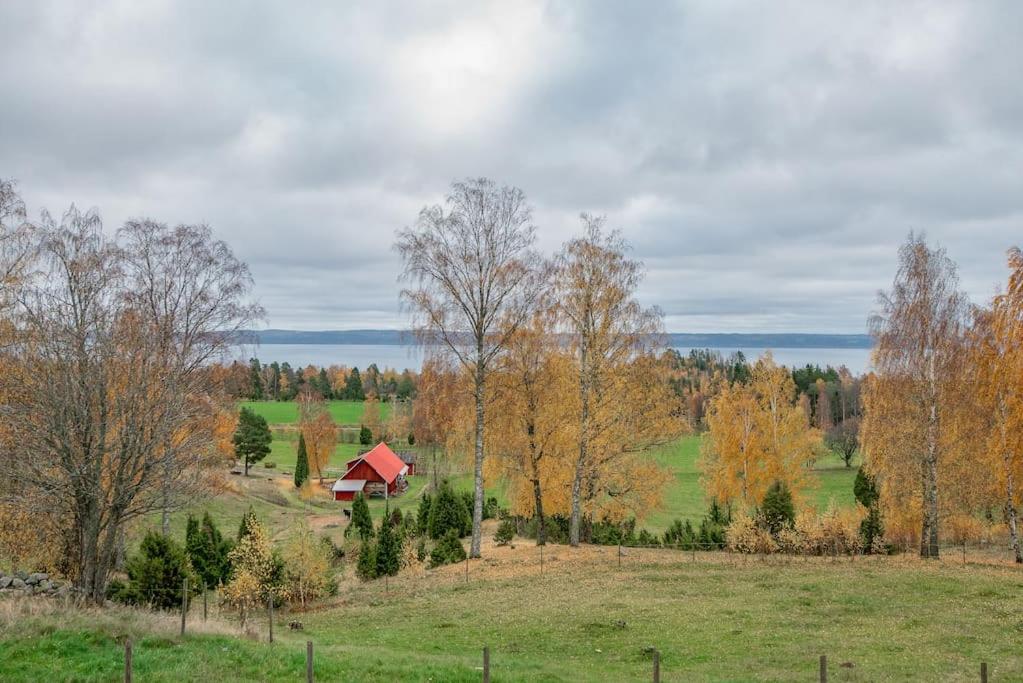 Photo 22