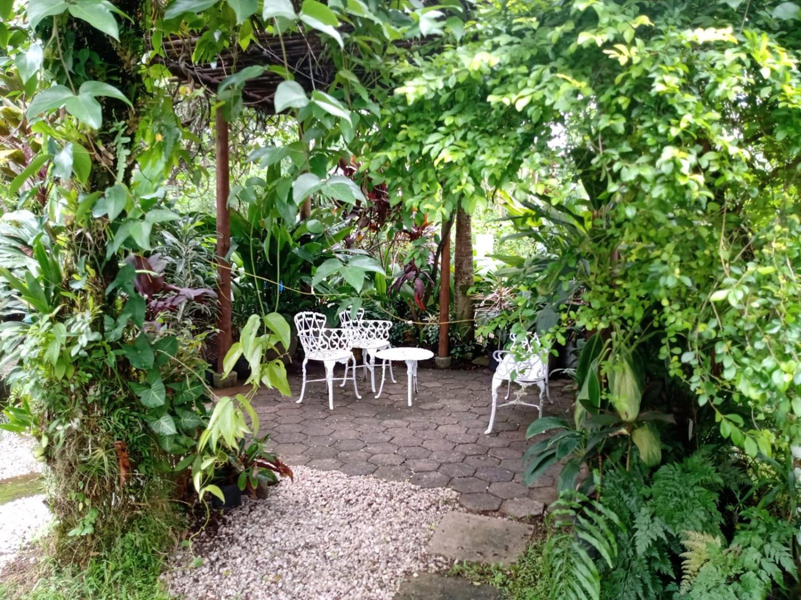 Casa na Toninhas