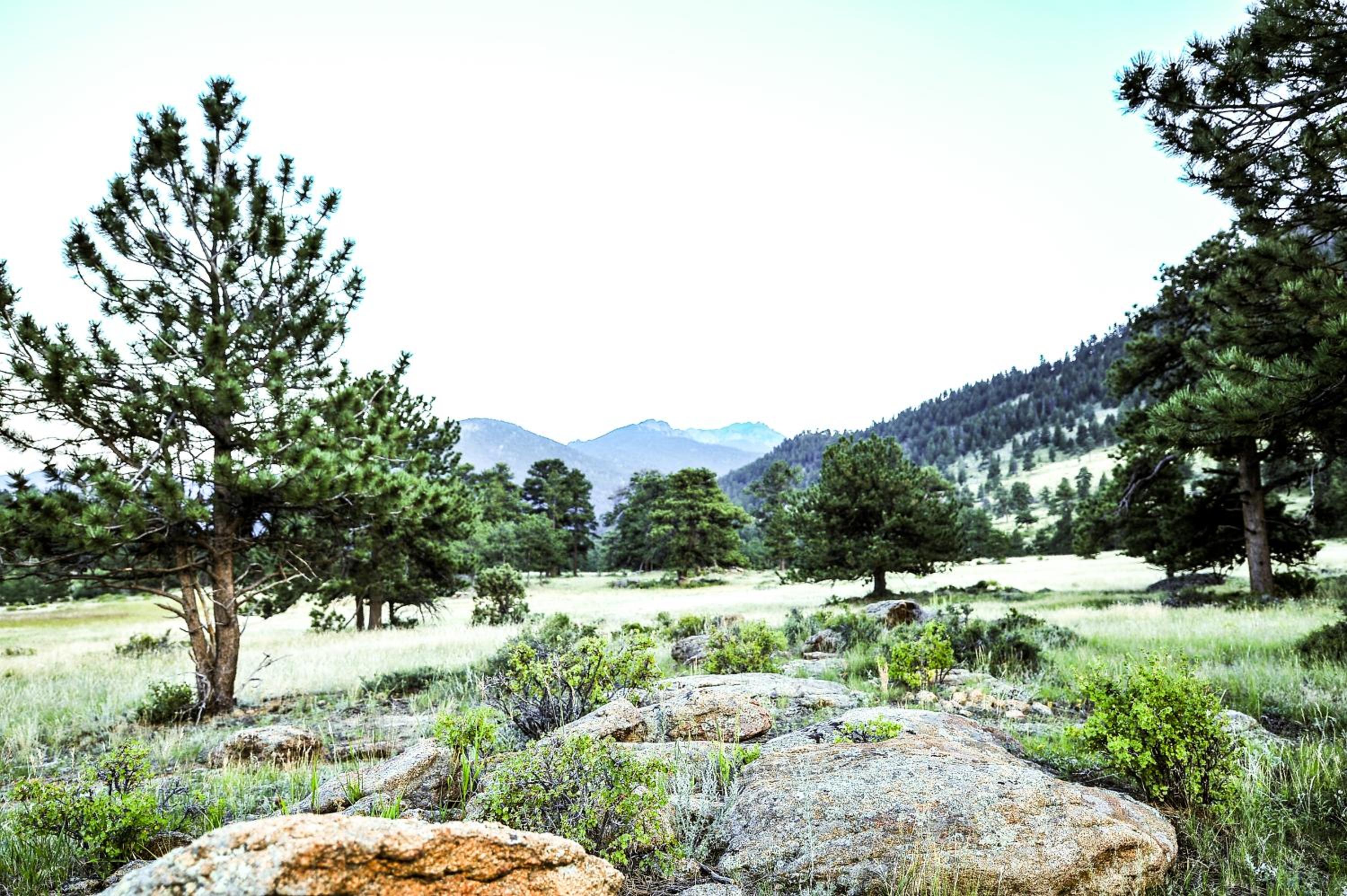 The Historic Crag's Lodge - Property Image 26