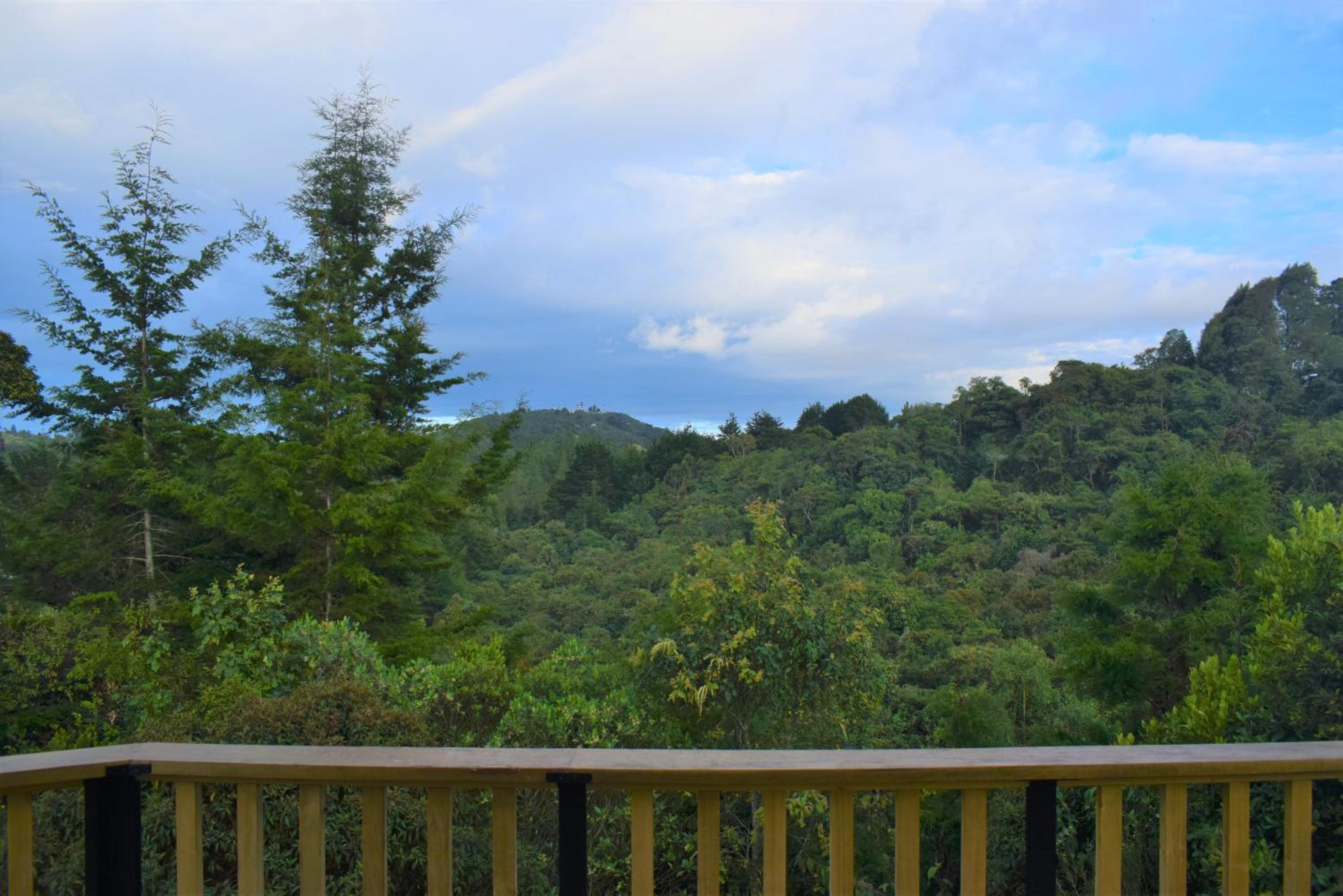 Chalet Petit Verdot