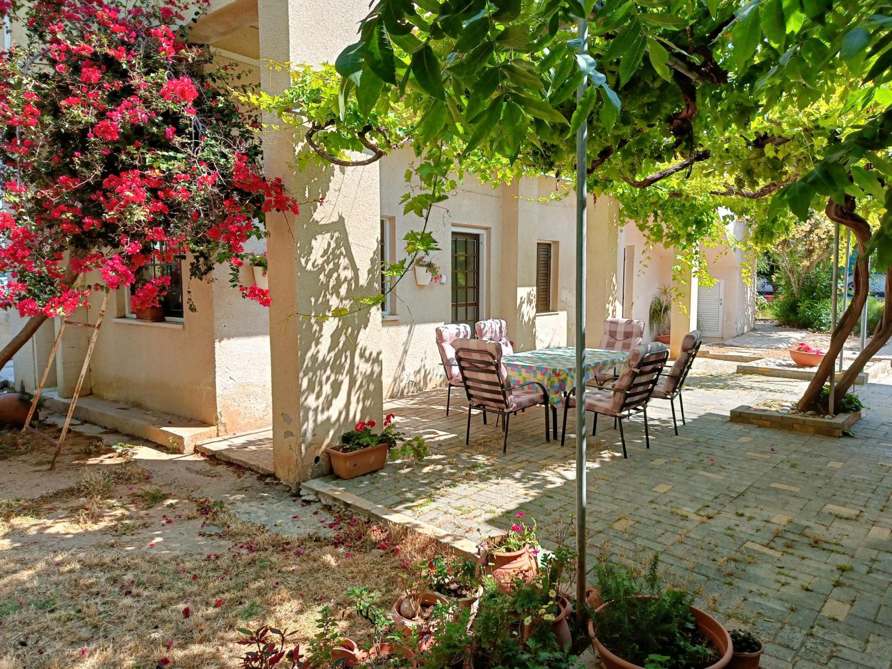 The Grapevine Guest House