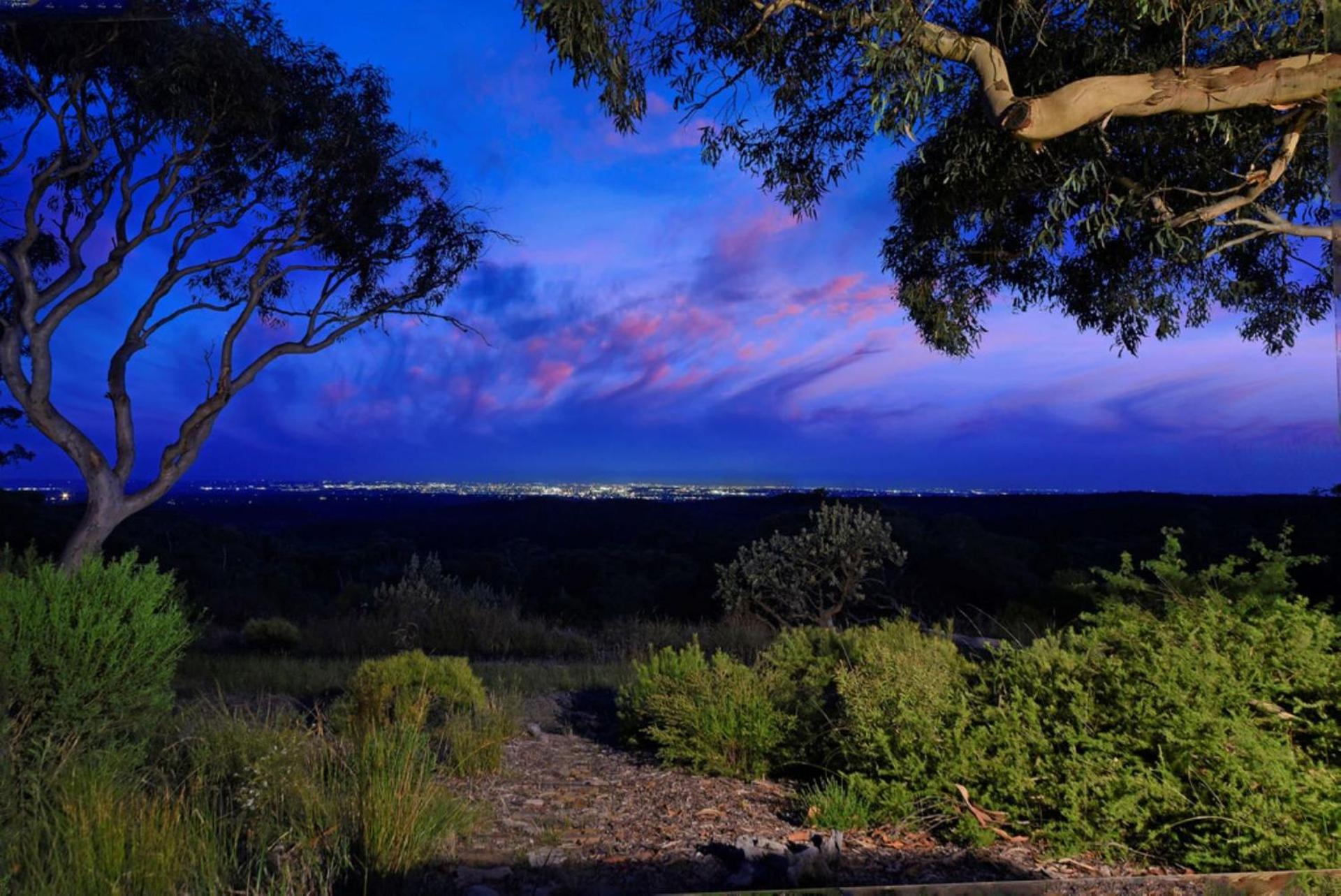 Sydney View
