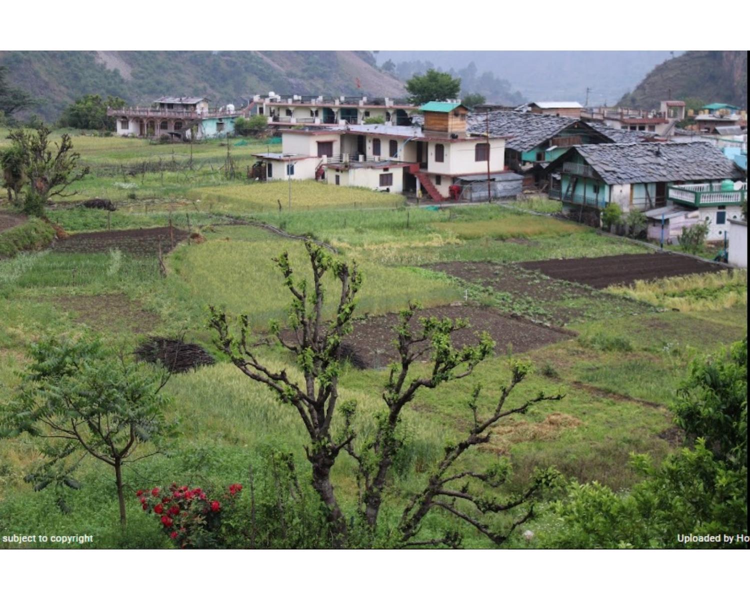 Hotel Jagatguru, Barkot view 5