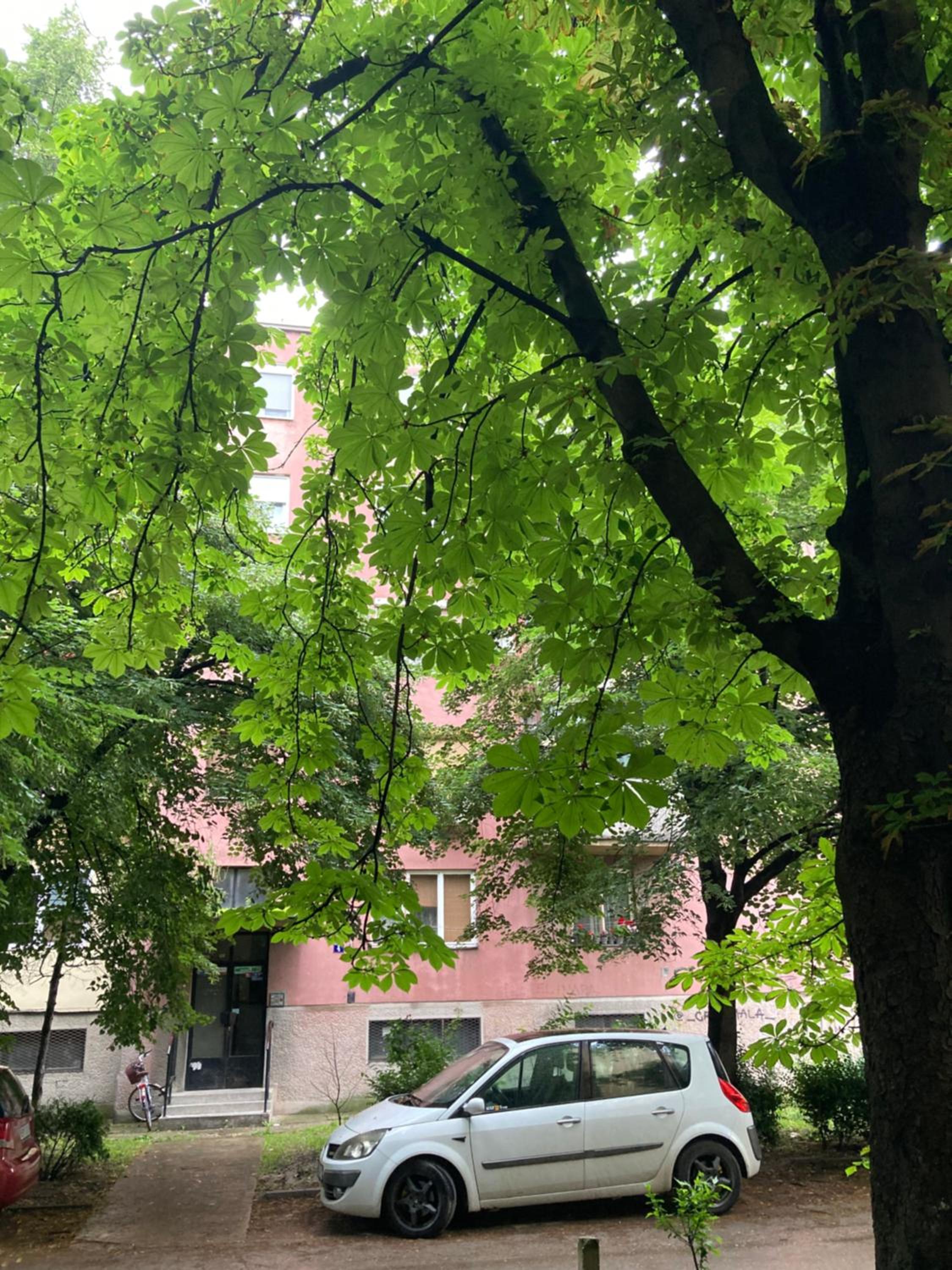 Apartman Marija