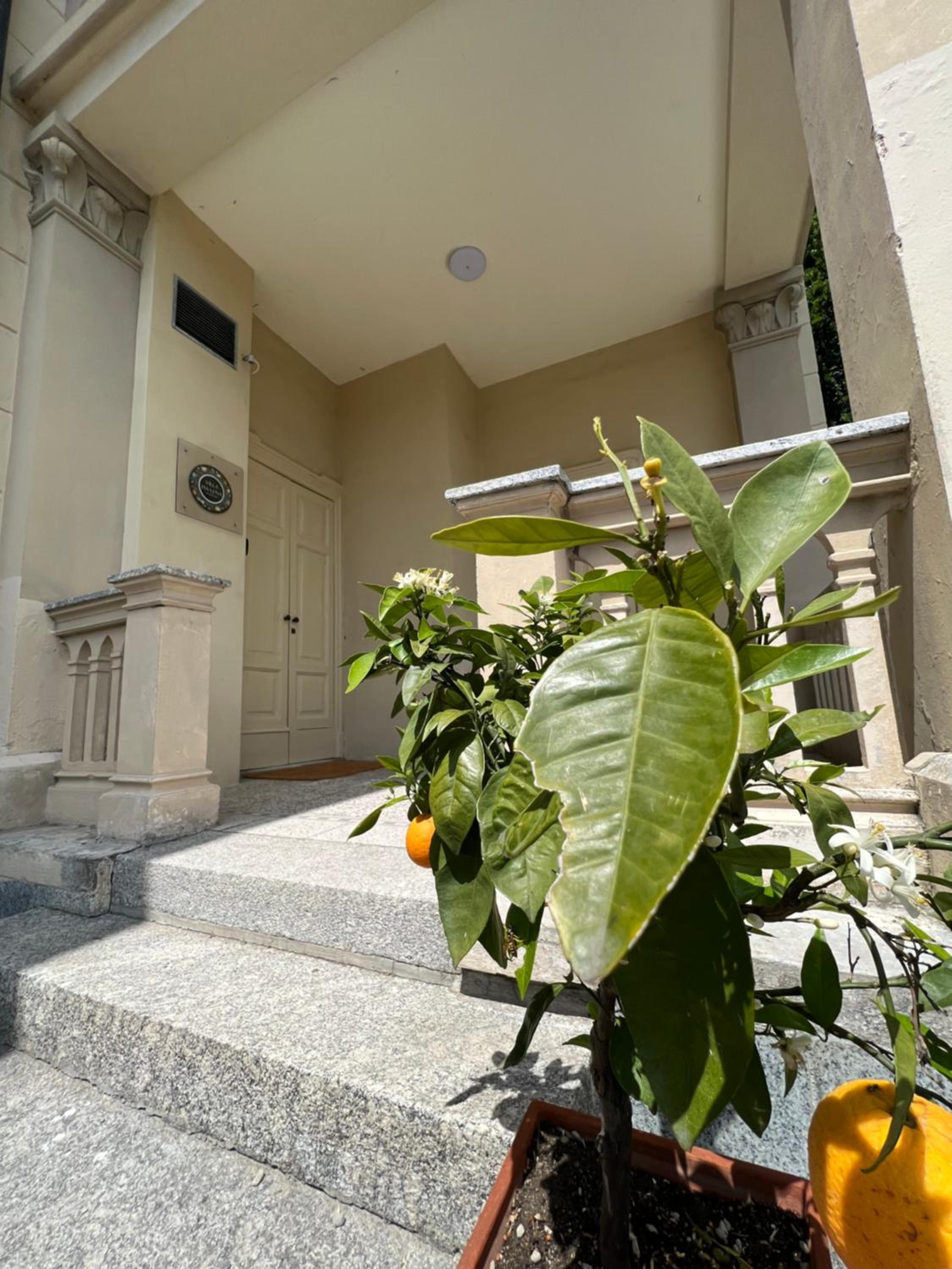 Private villa near Bellagio on Lake Como view 4