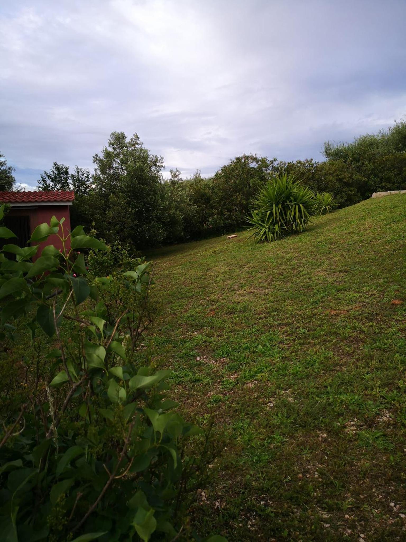 Photo 35