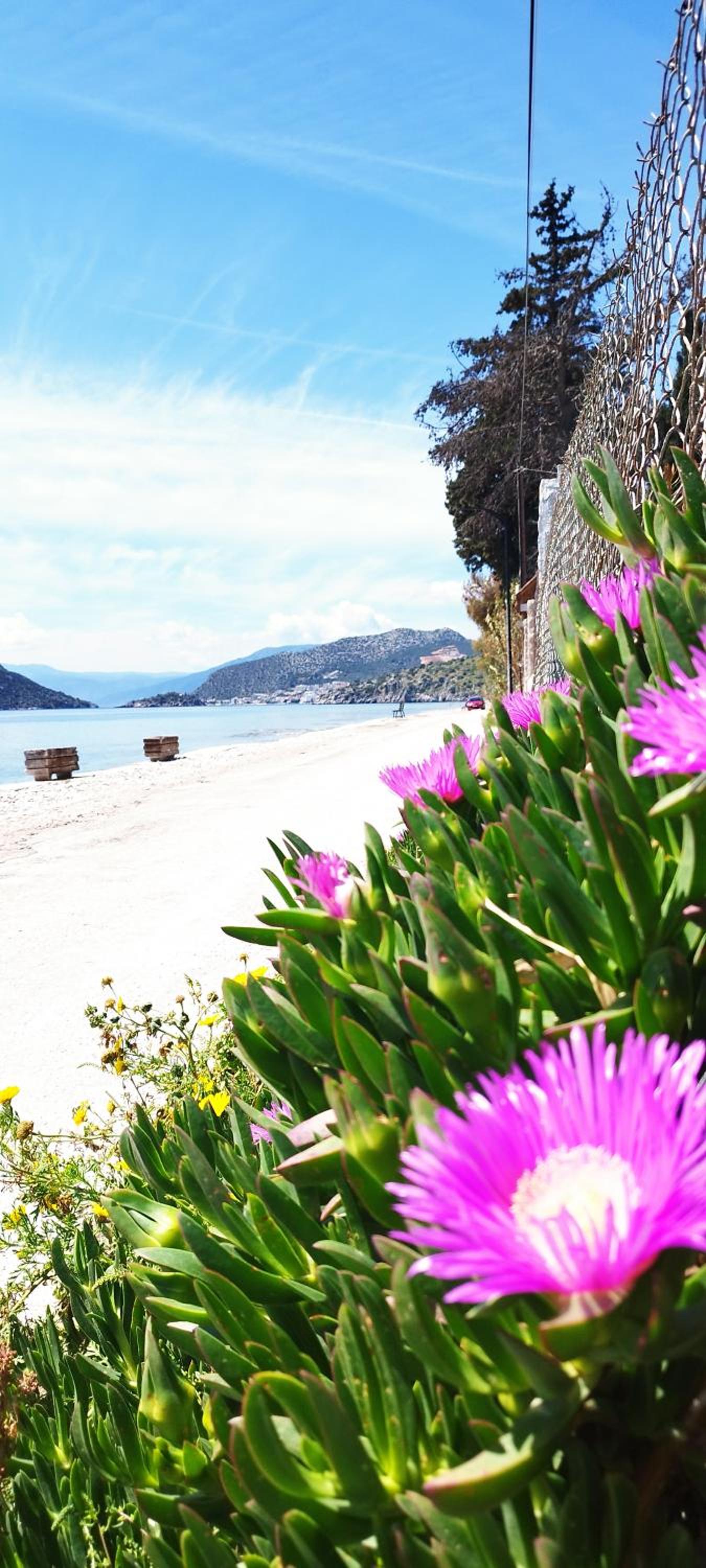 Vice Versa Elegant Studio 1 photo 4