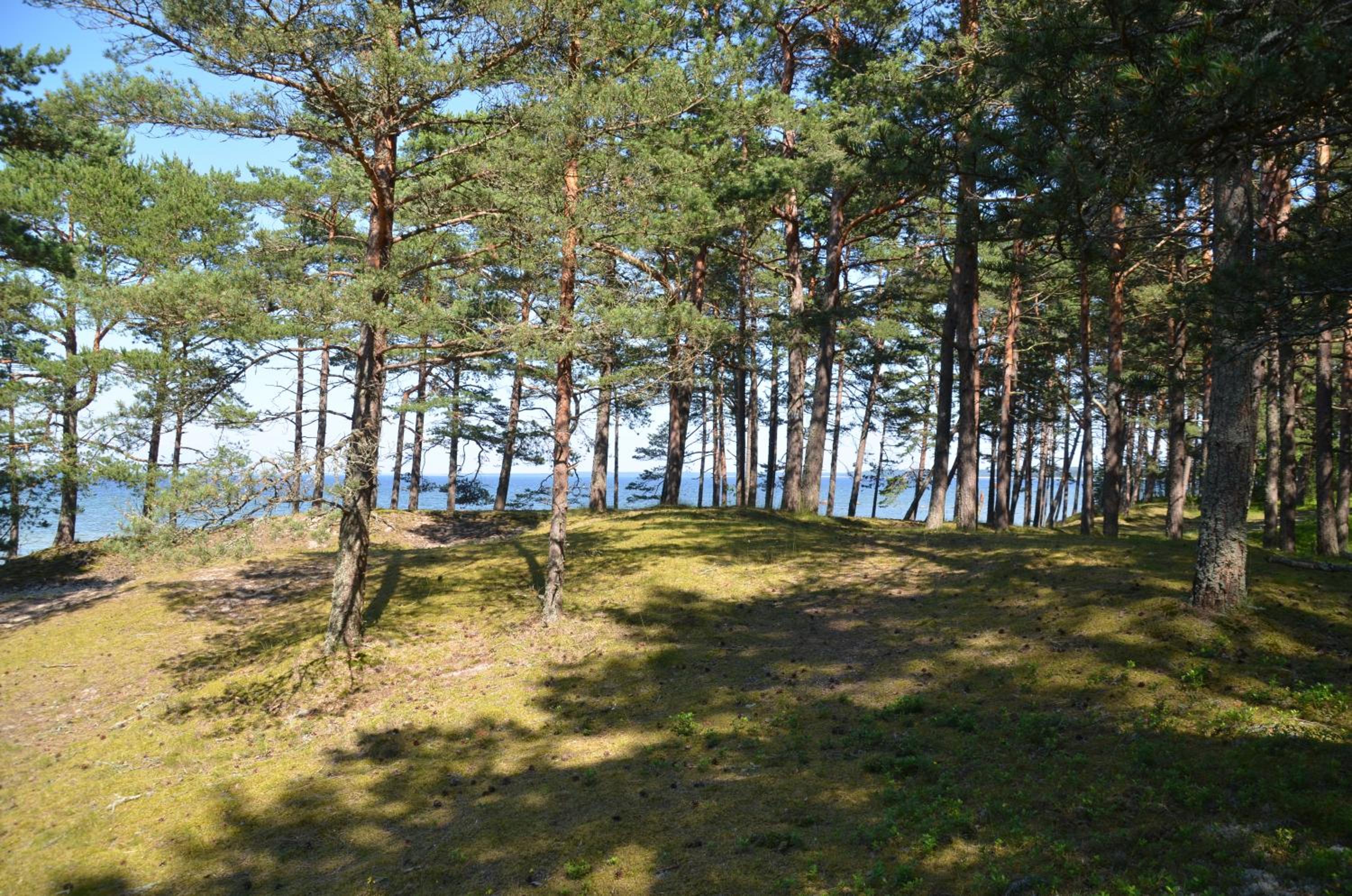 Lohusalu Apartment