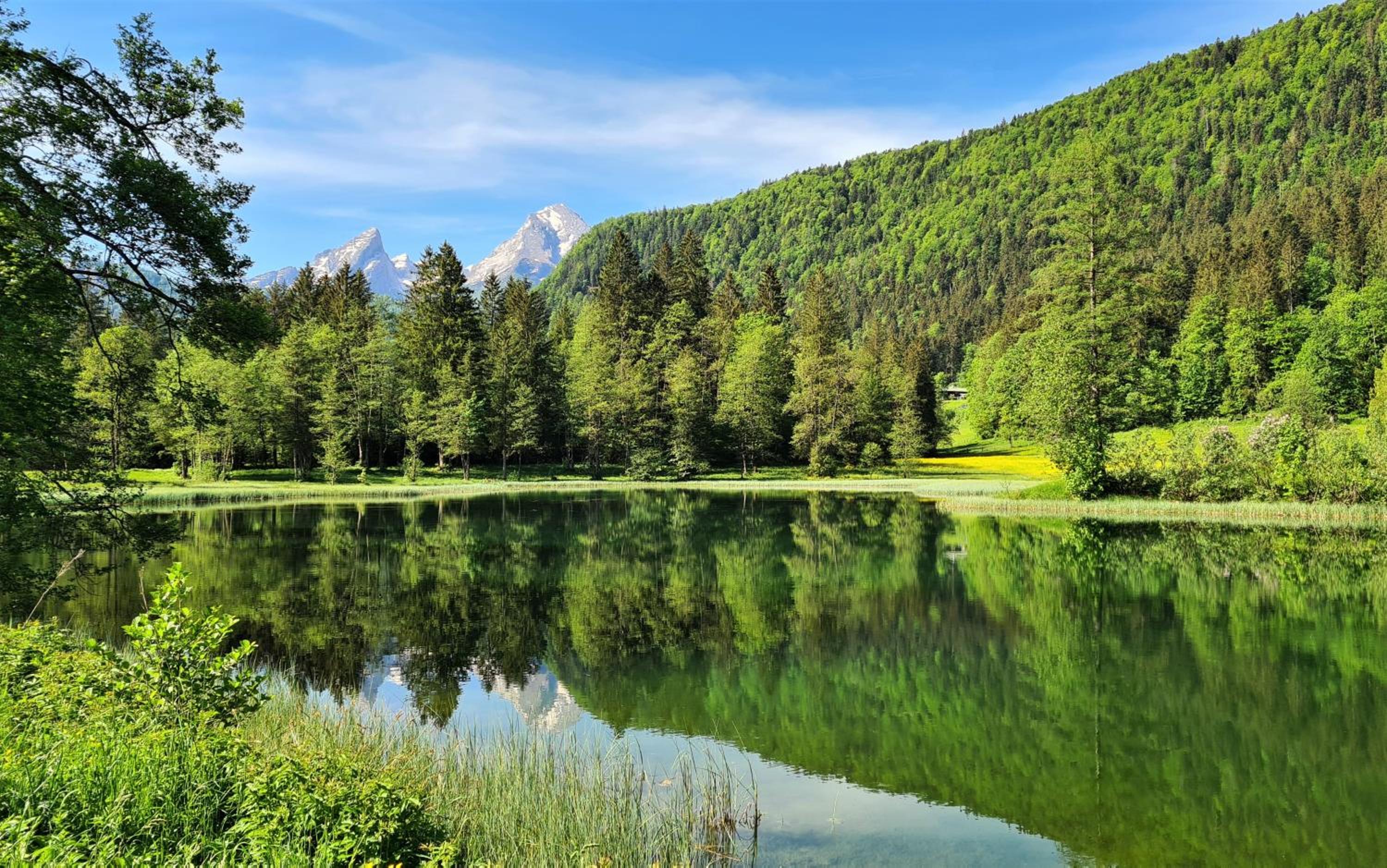 Ferienhaus im modernen Landhauscharme mit Bergblick und Garten
