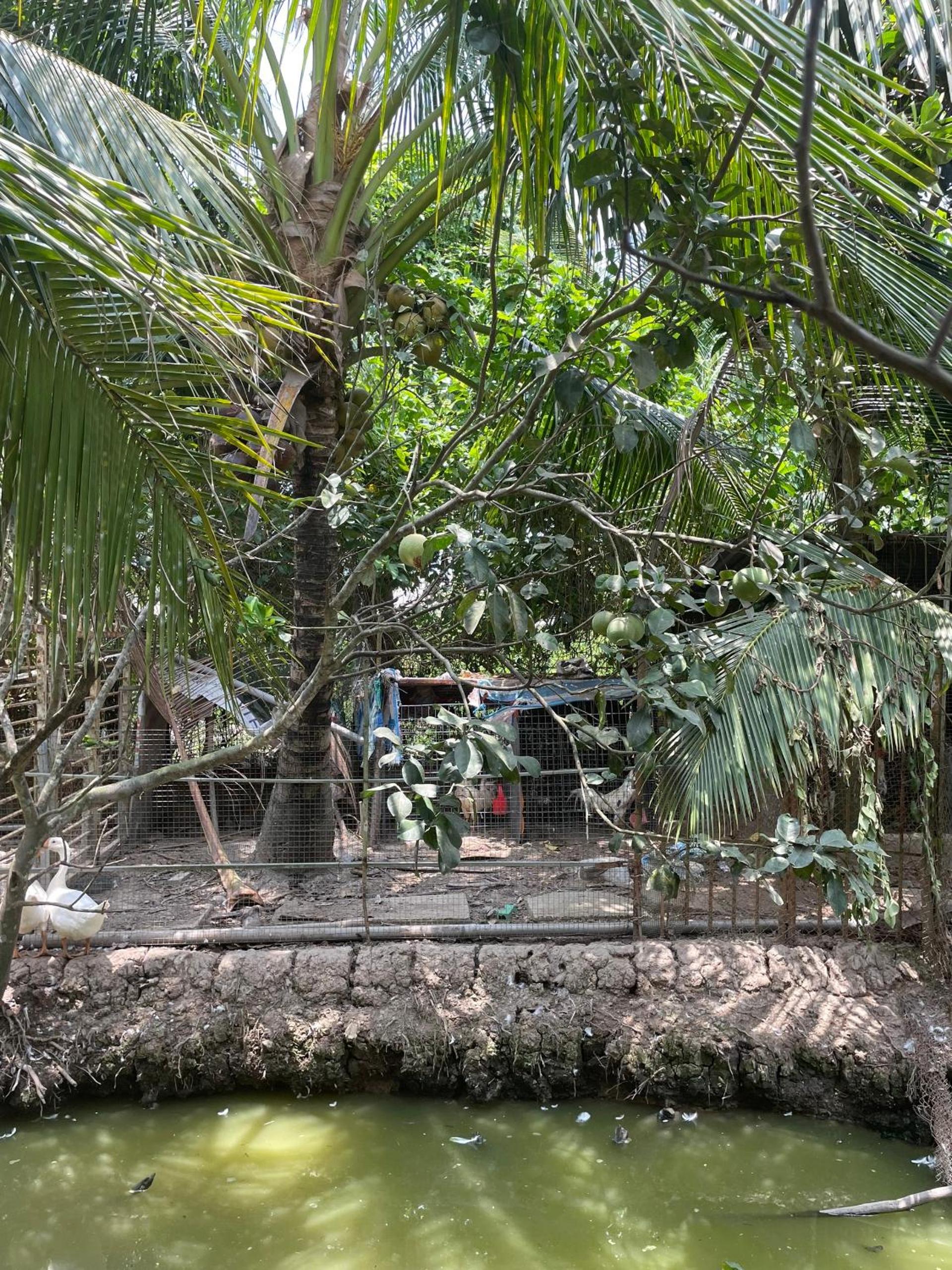 Đông's Garden Home view 2