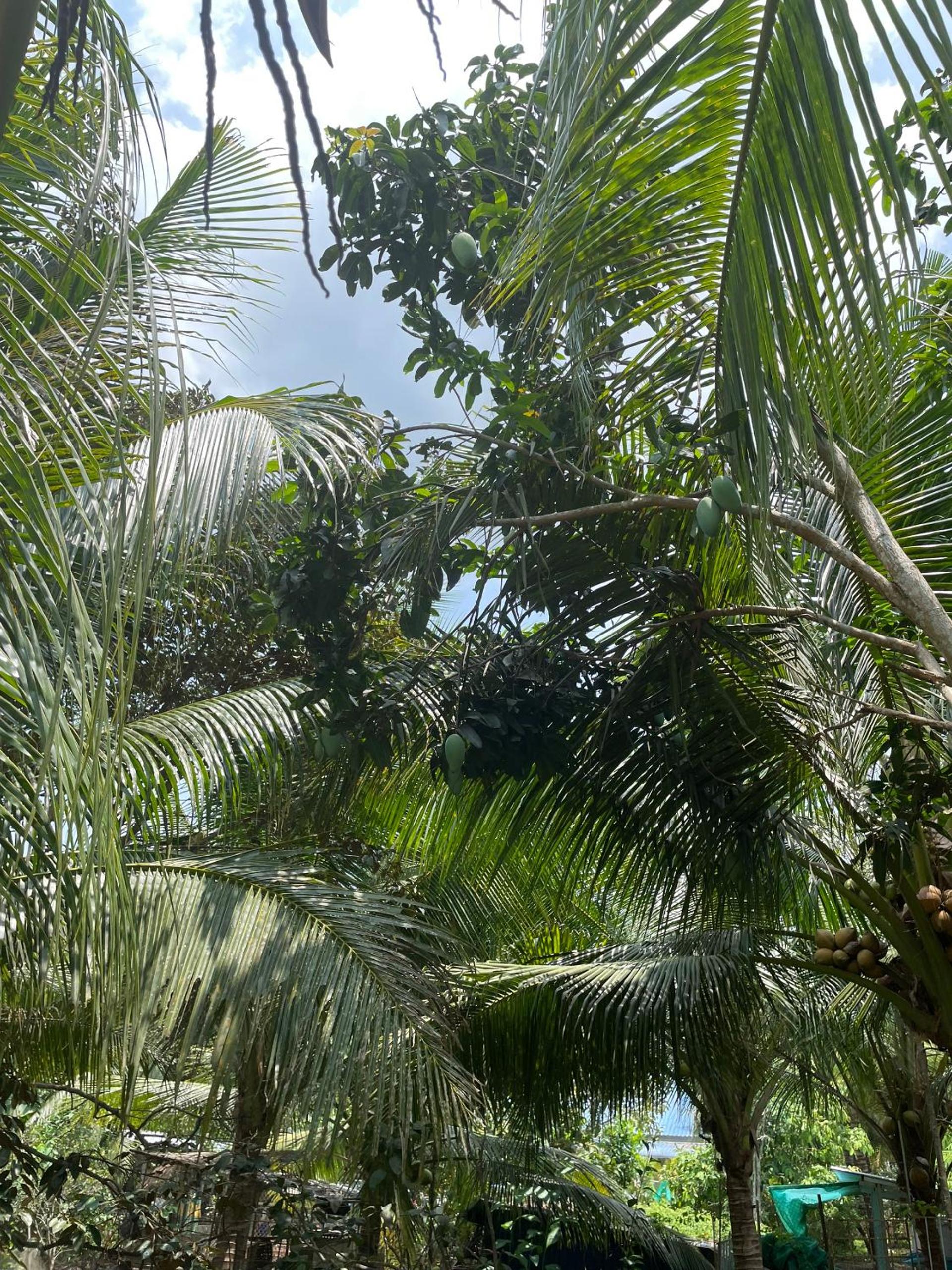 Đông's Garden Home view 3