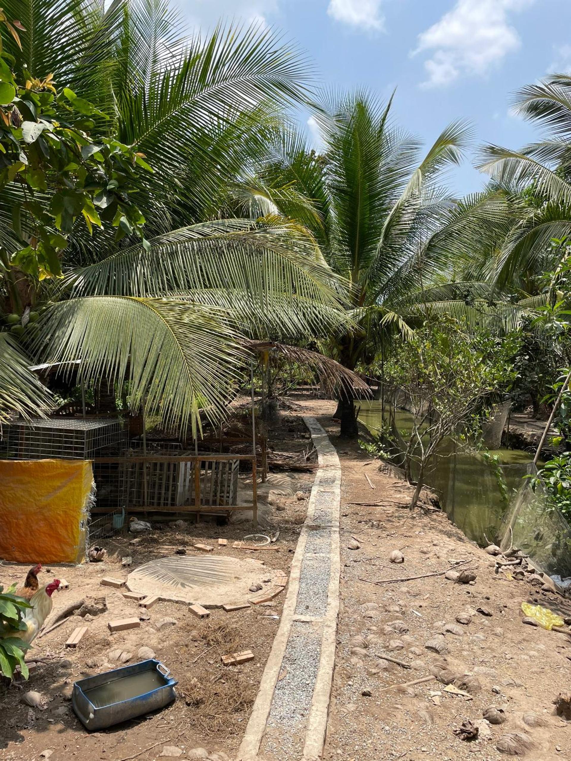 Đông's Garden Home view 5