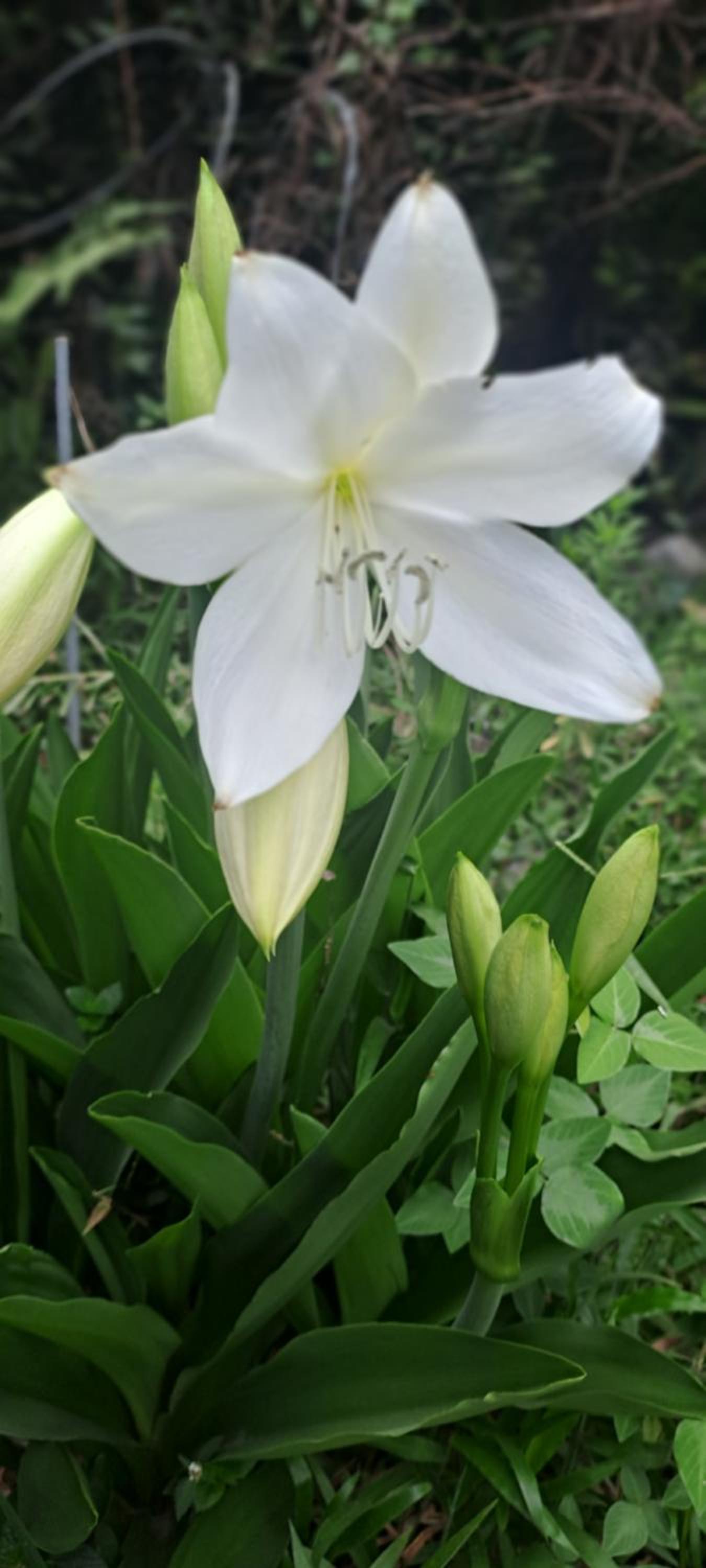 Photo 35
