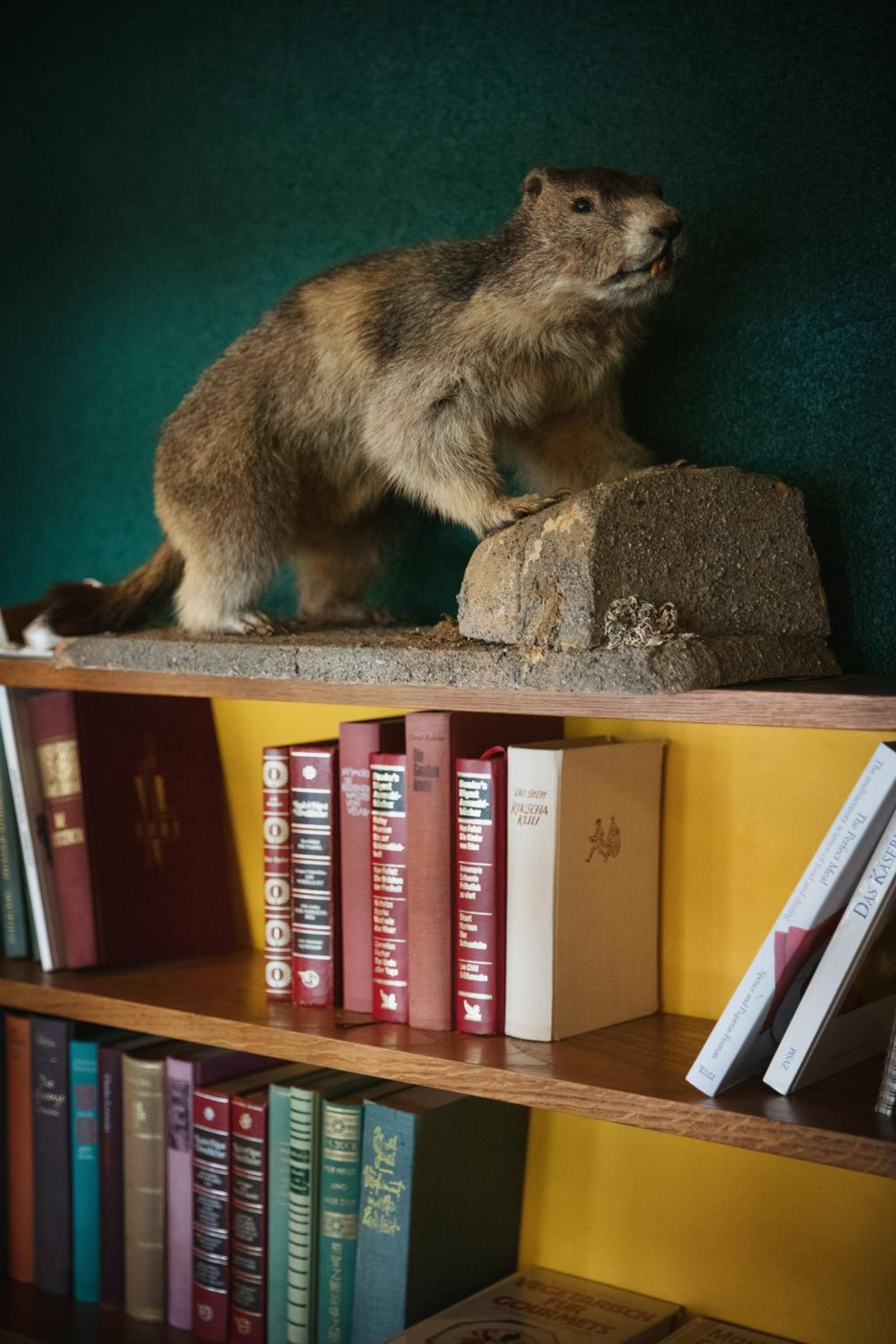 Photo 27