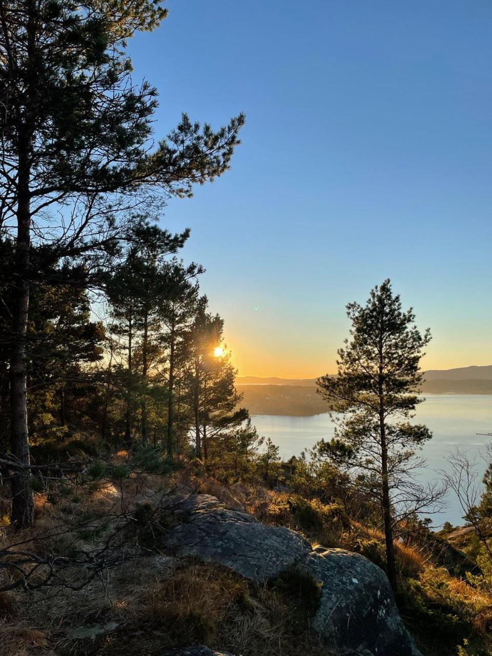 Apartments Bergen with sea view!