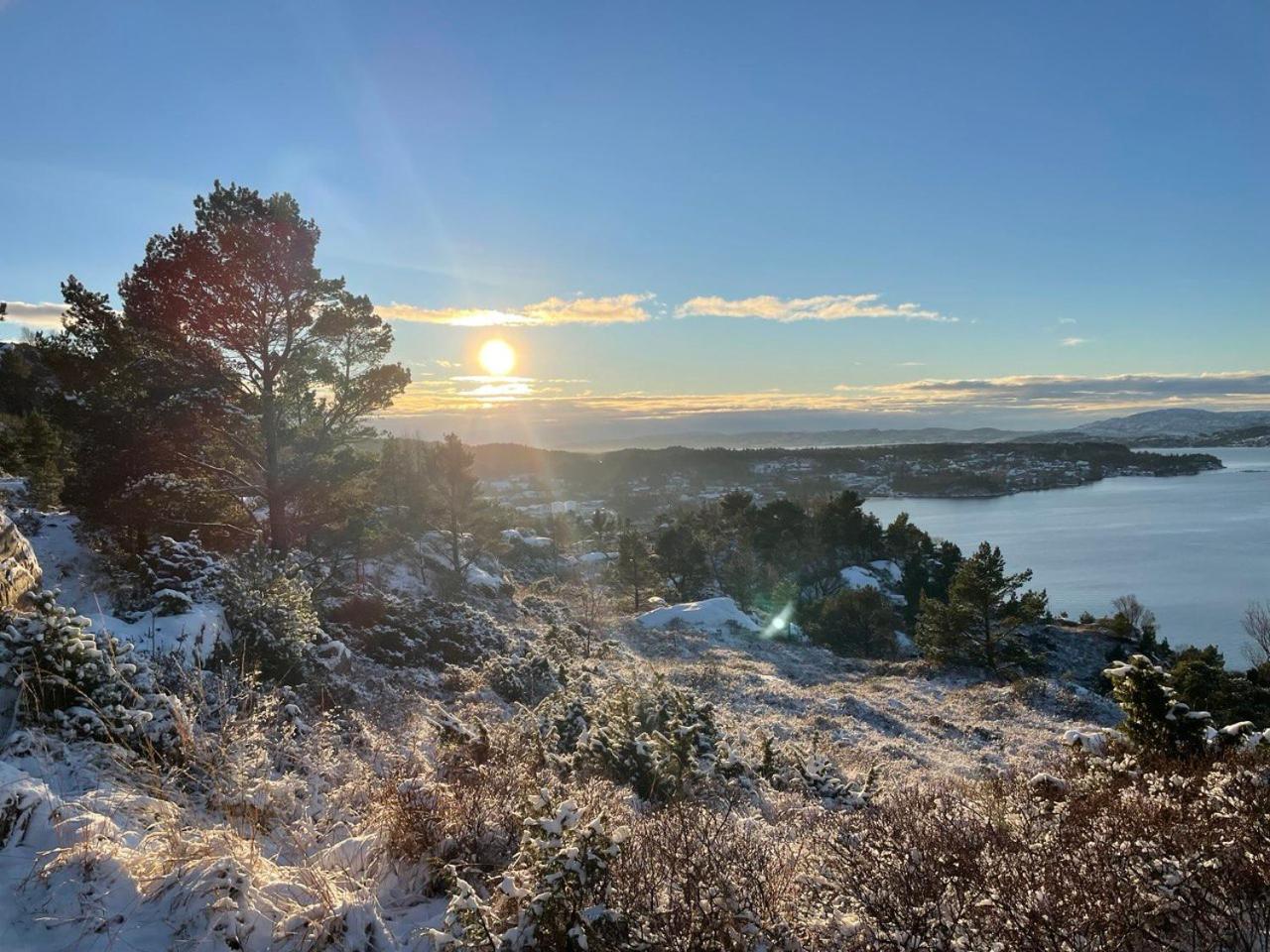 Apartments Bergen with sea view!