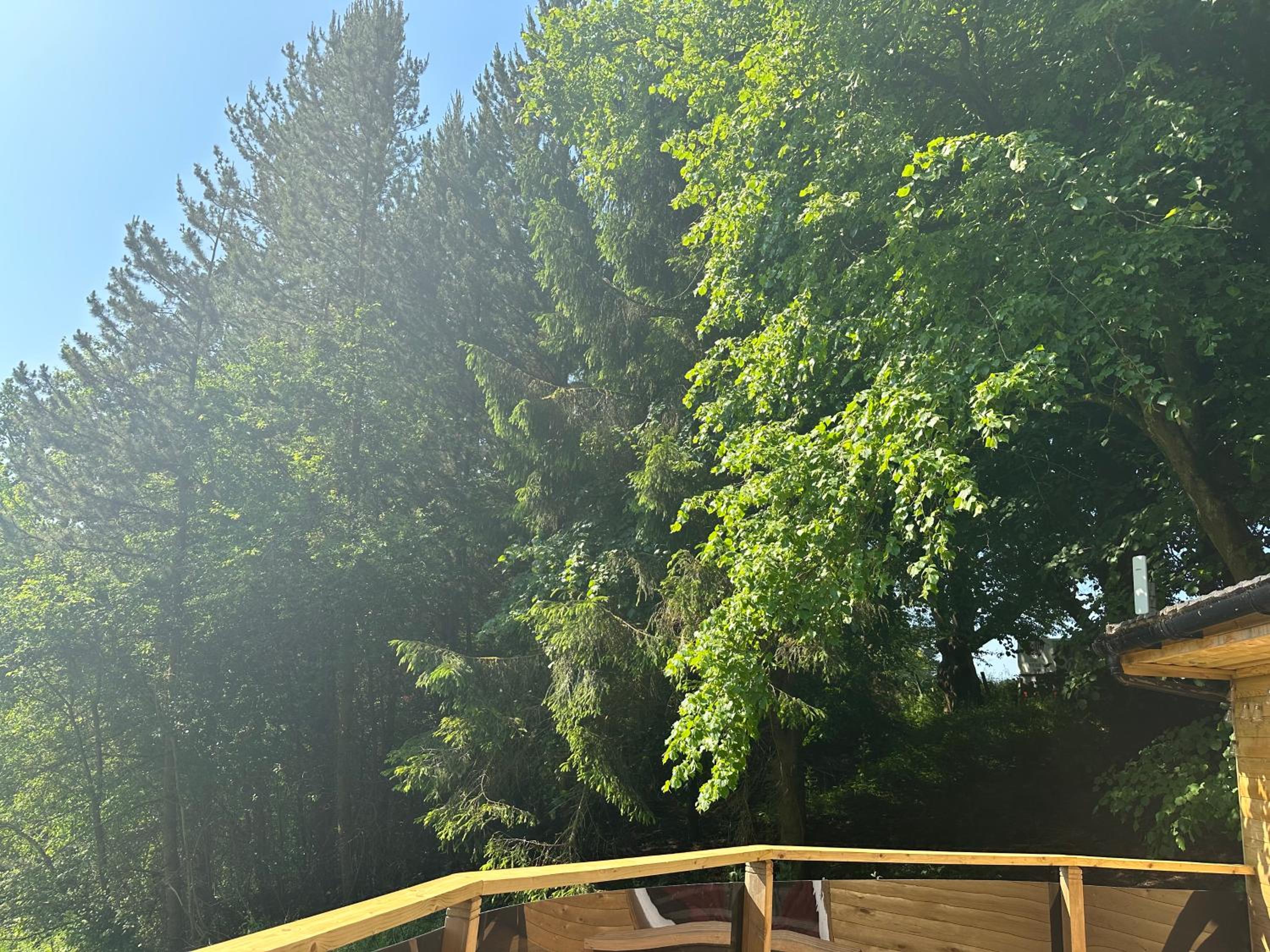 Unique Orchard Lodge for couples with hot tub
