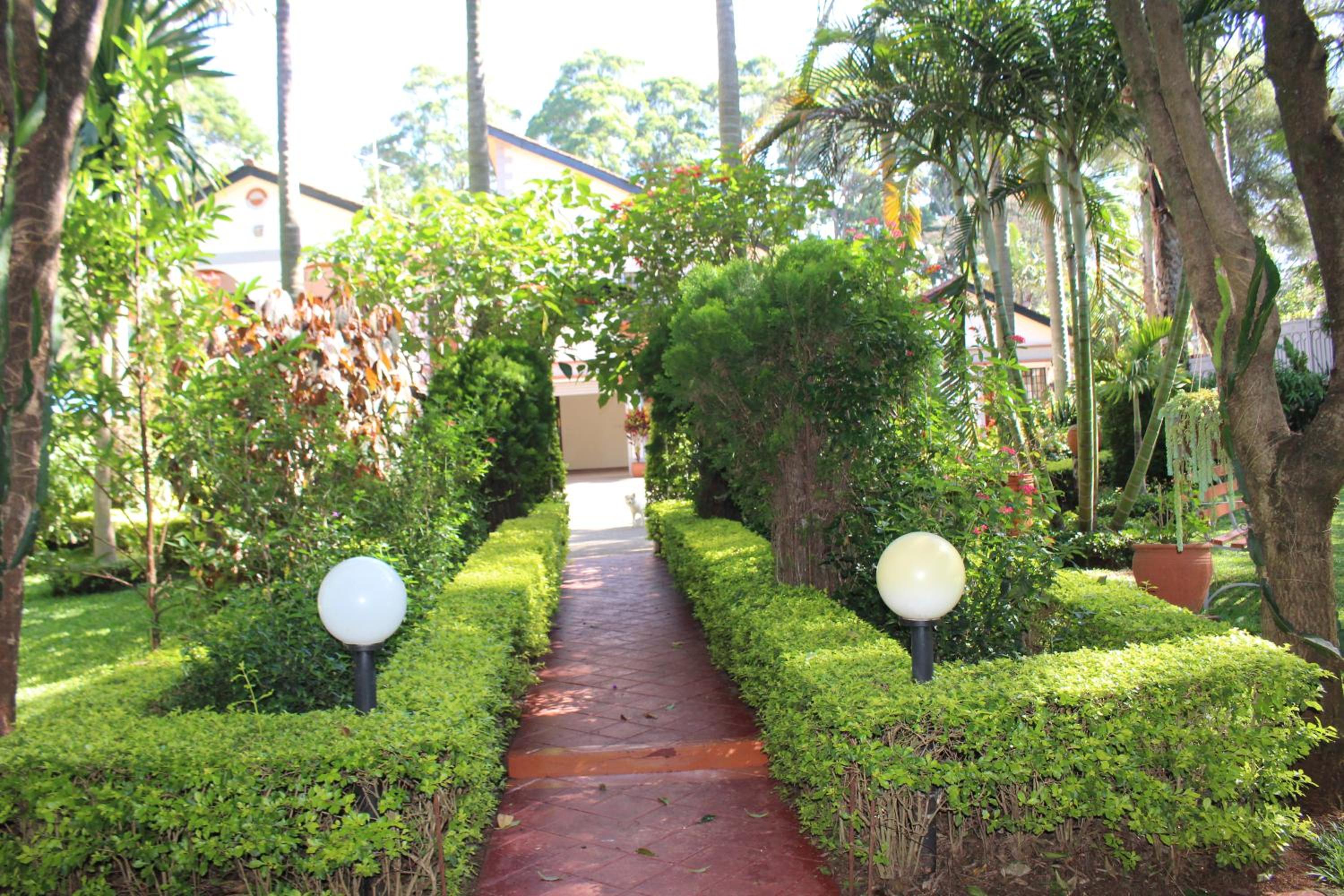 Photo 45