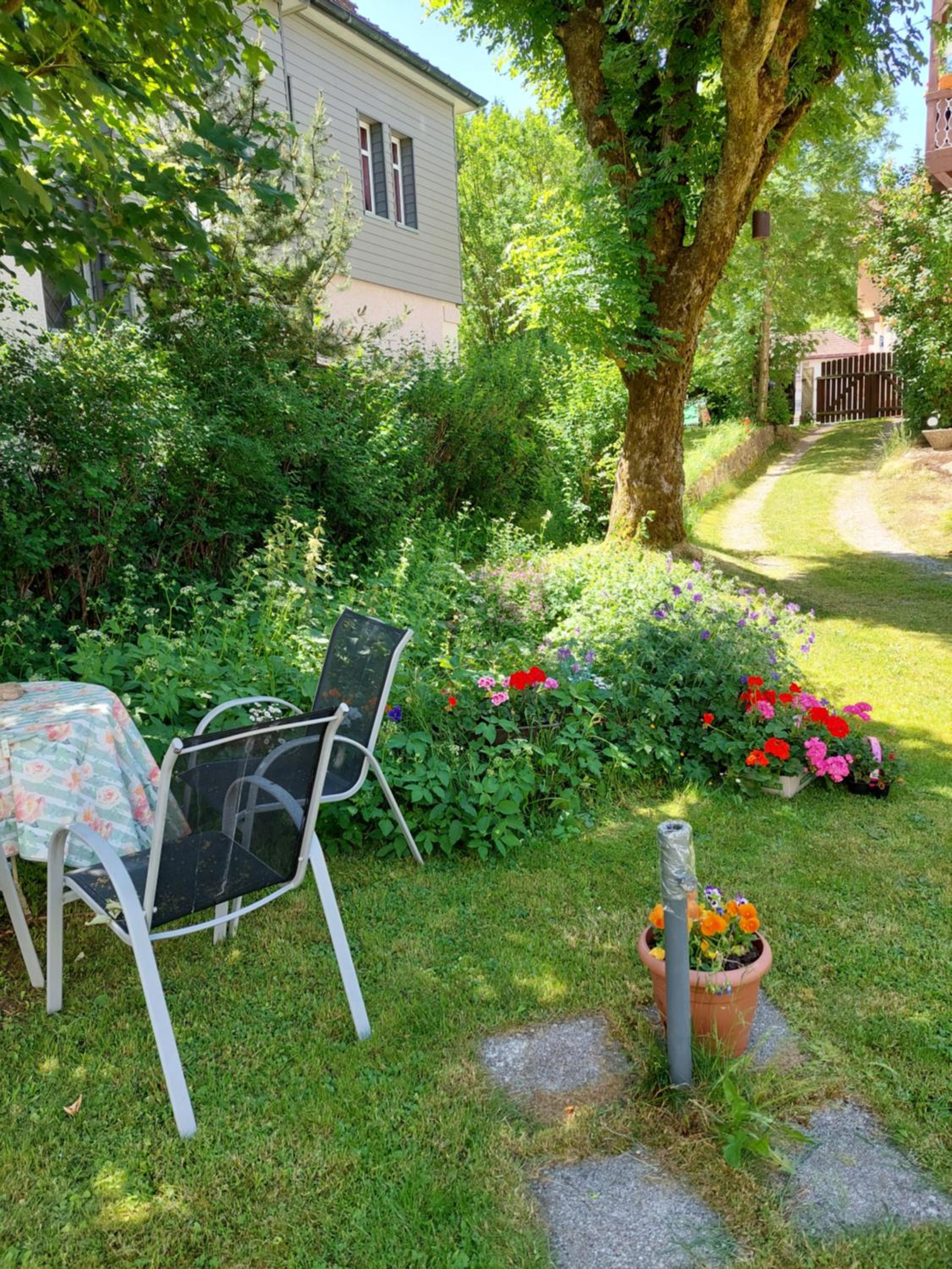 Ferienwohnung Schwarzwald