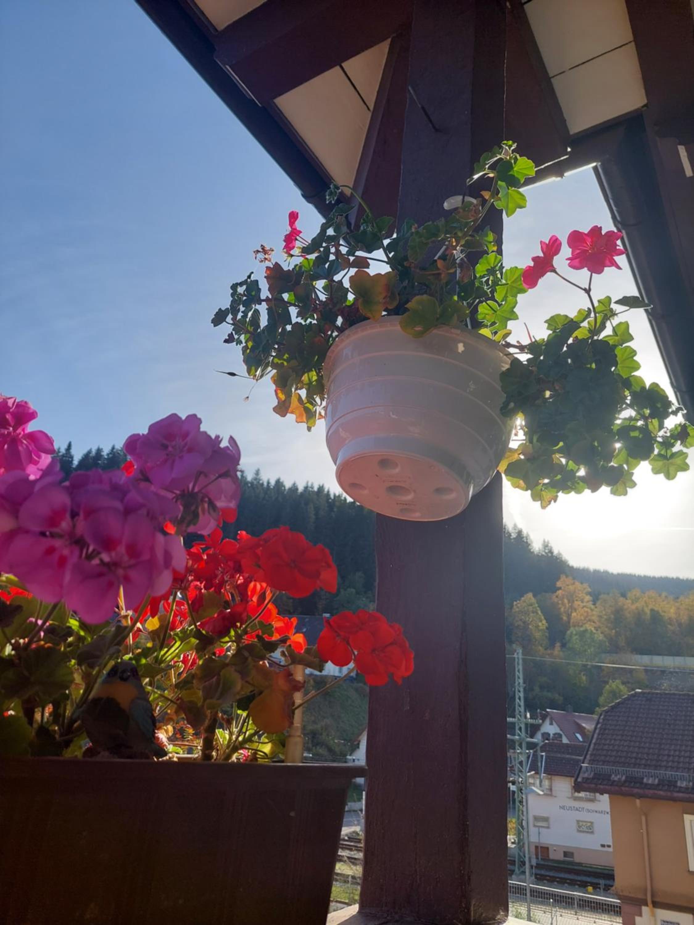 Ferienwohnung Schwarzwald