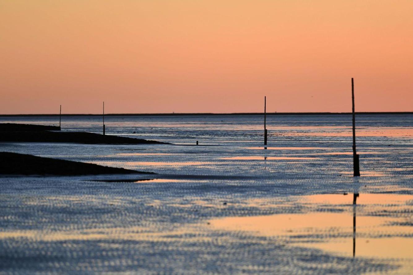 Land und Meer LM15