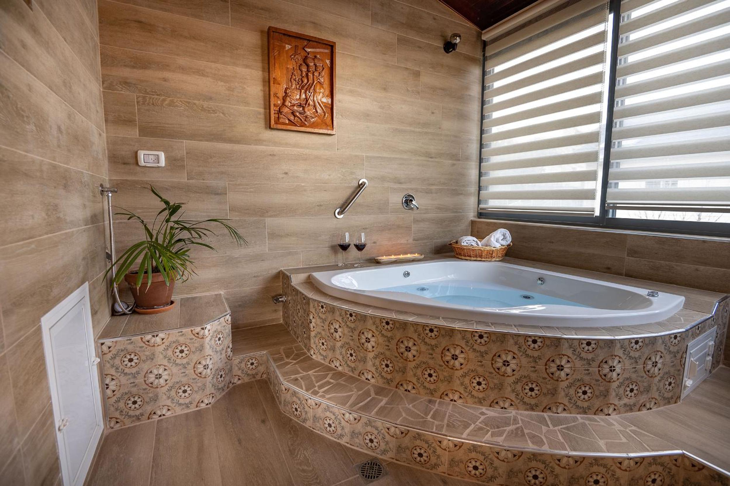 Suite Kolibri in Galilee view 4