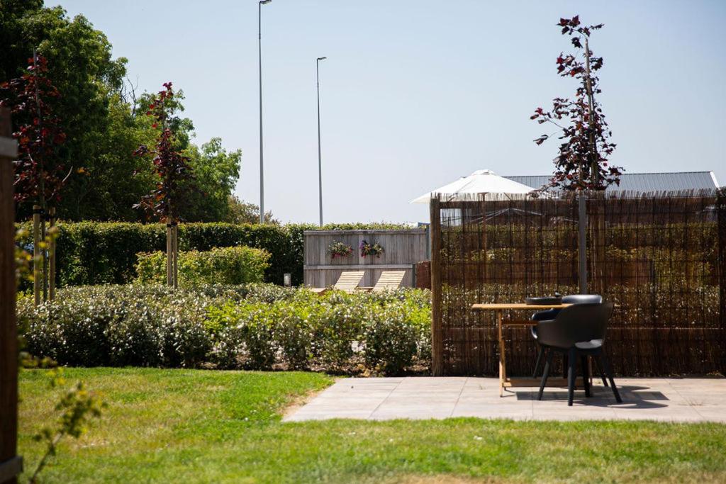 Photo 155