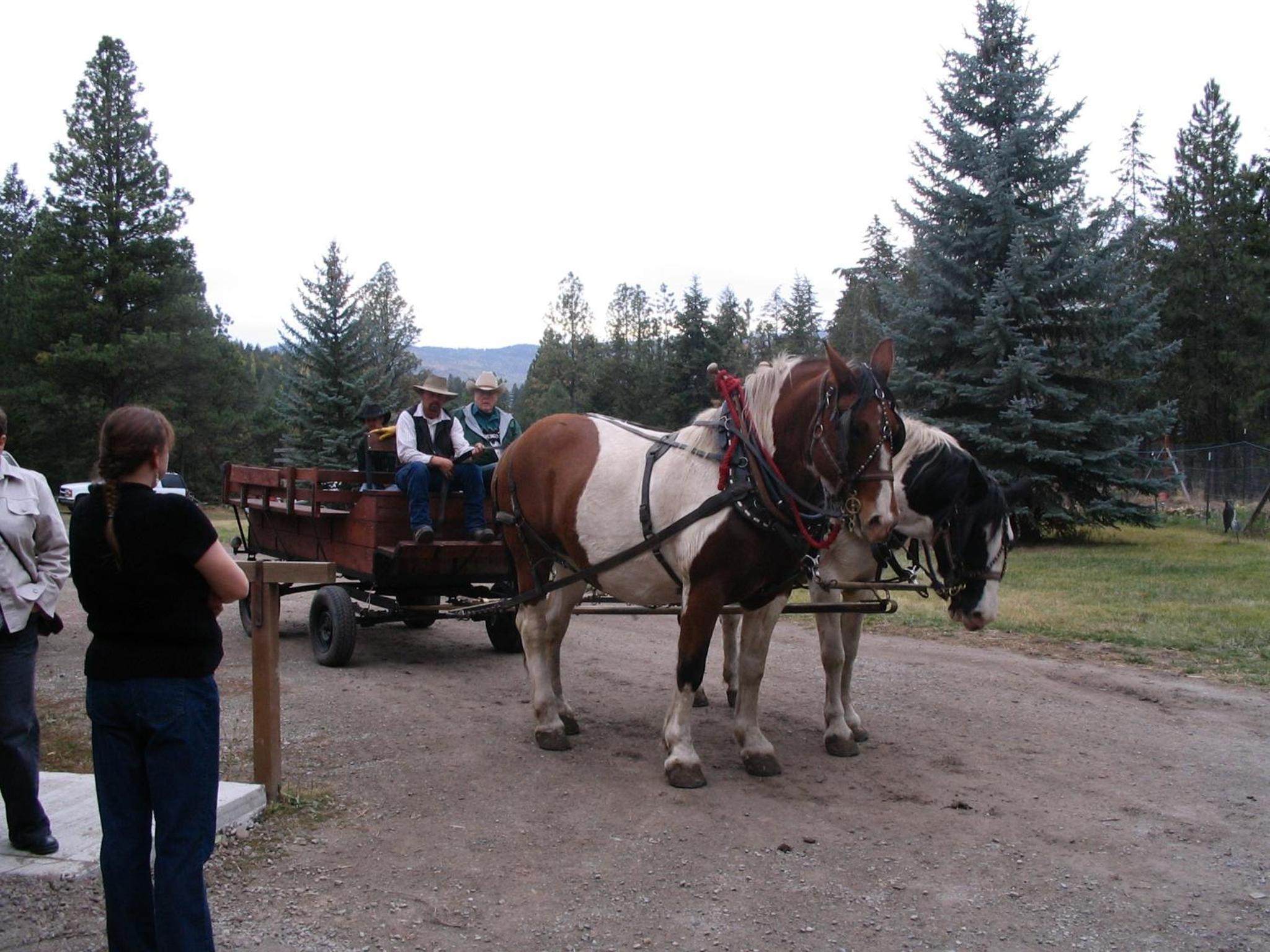 Lonesome Dove Ranch
