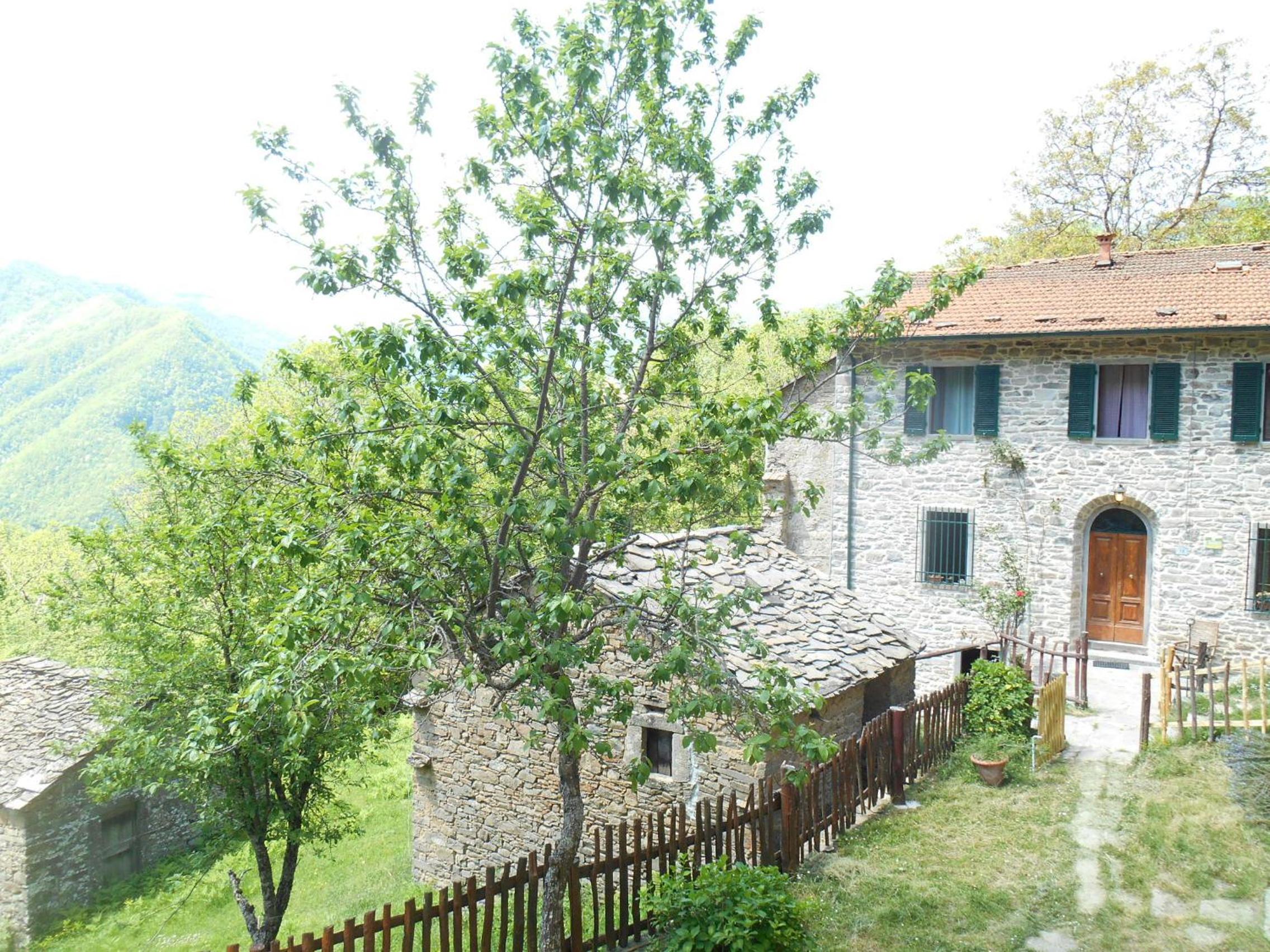 Photo 29