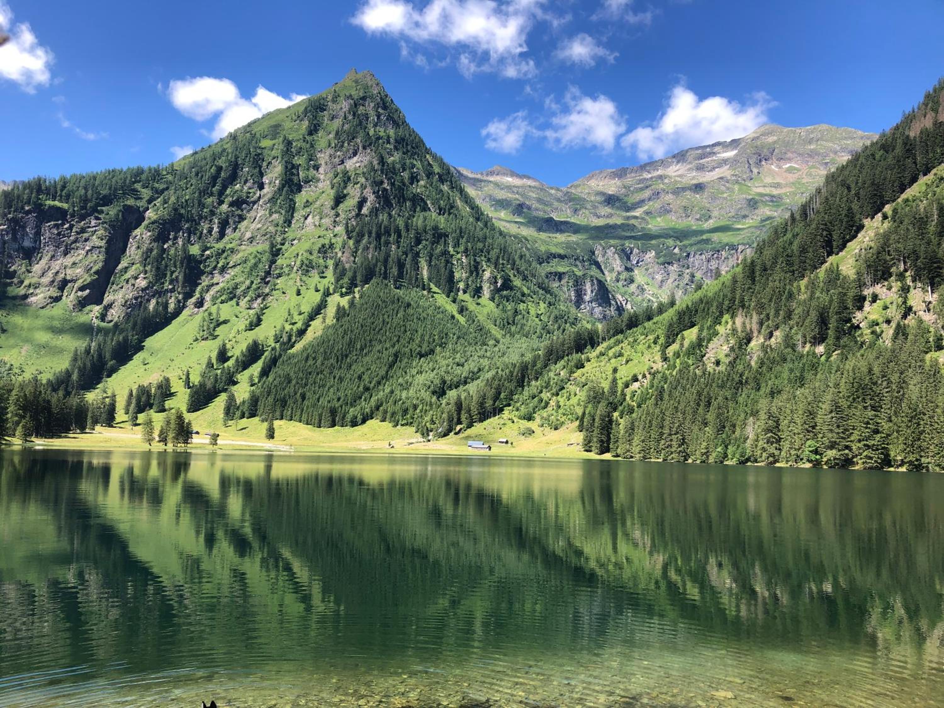 Luserblick