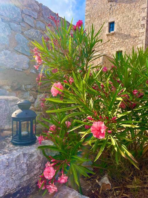 Photo 38