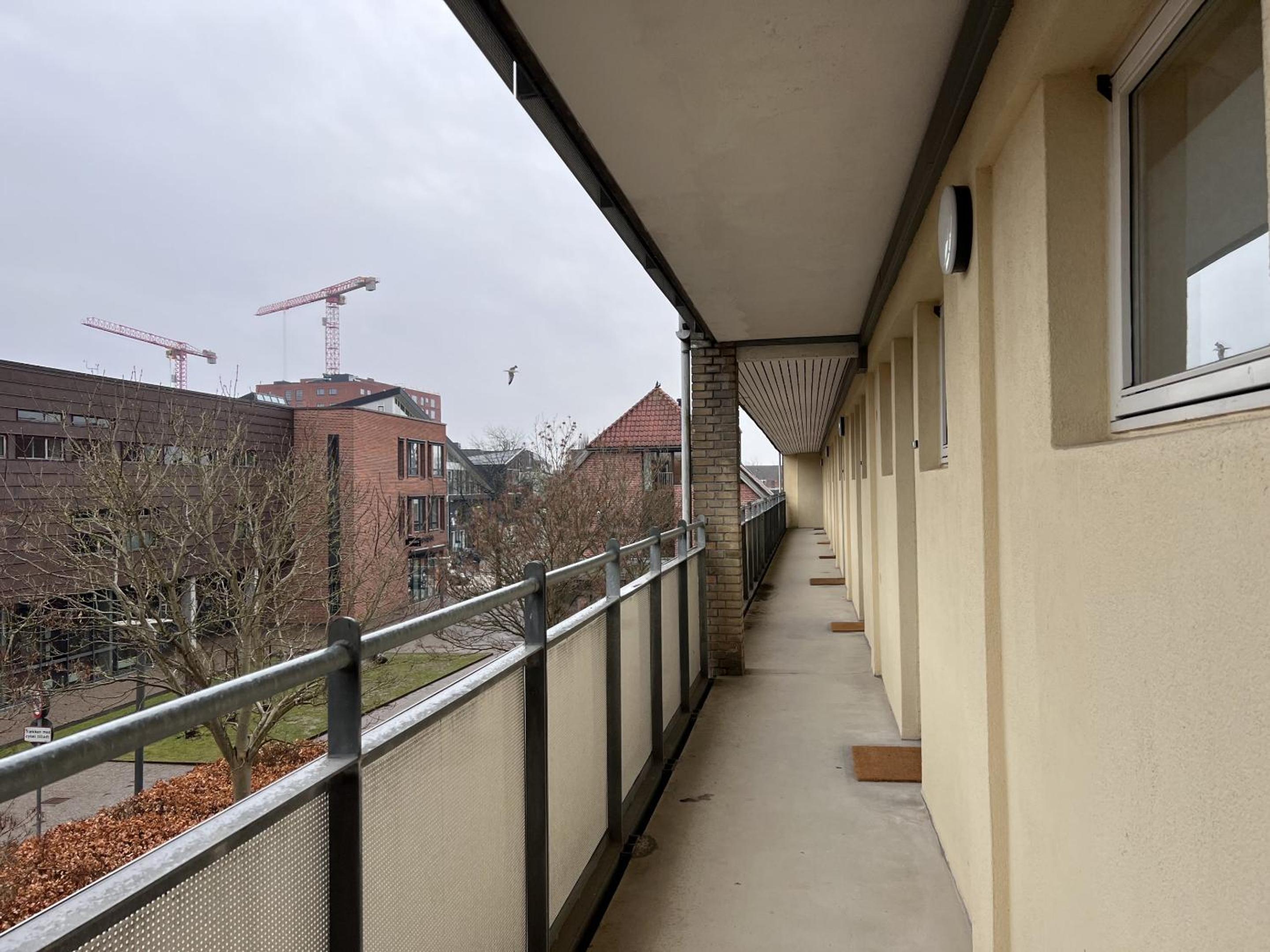 Photo 16
