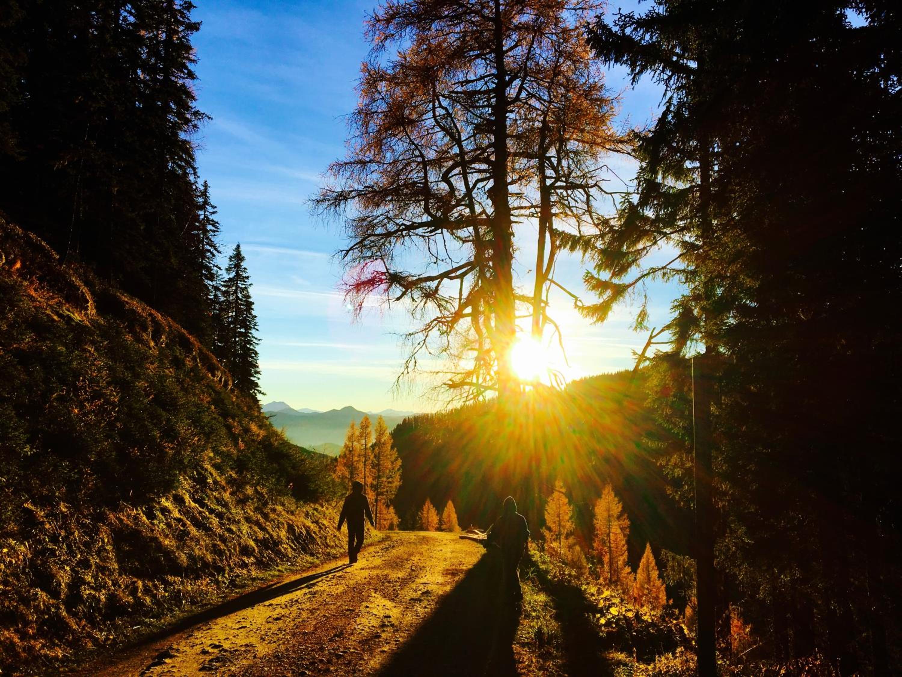 Luserblick