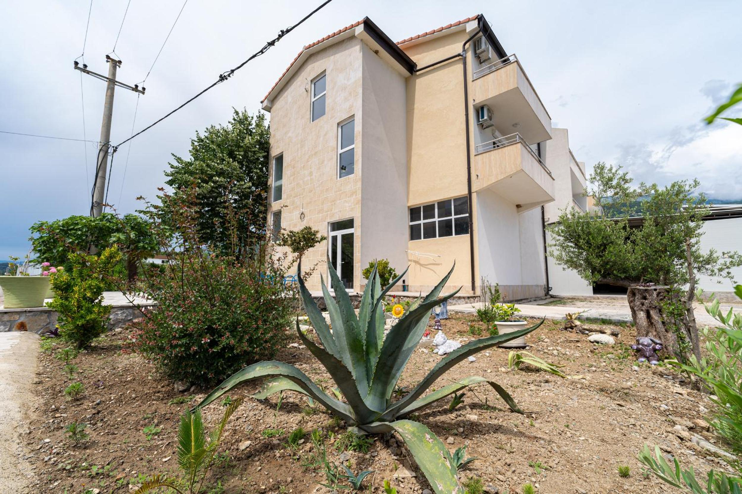 MAS Apartments