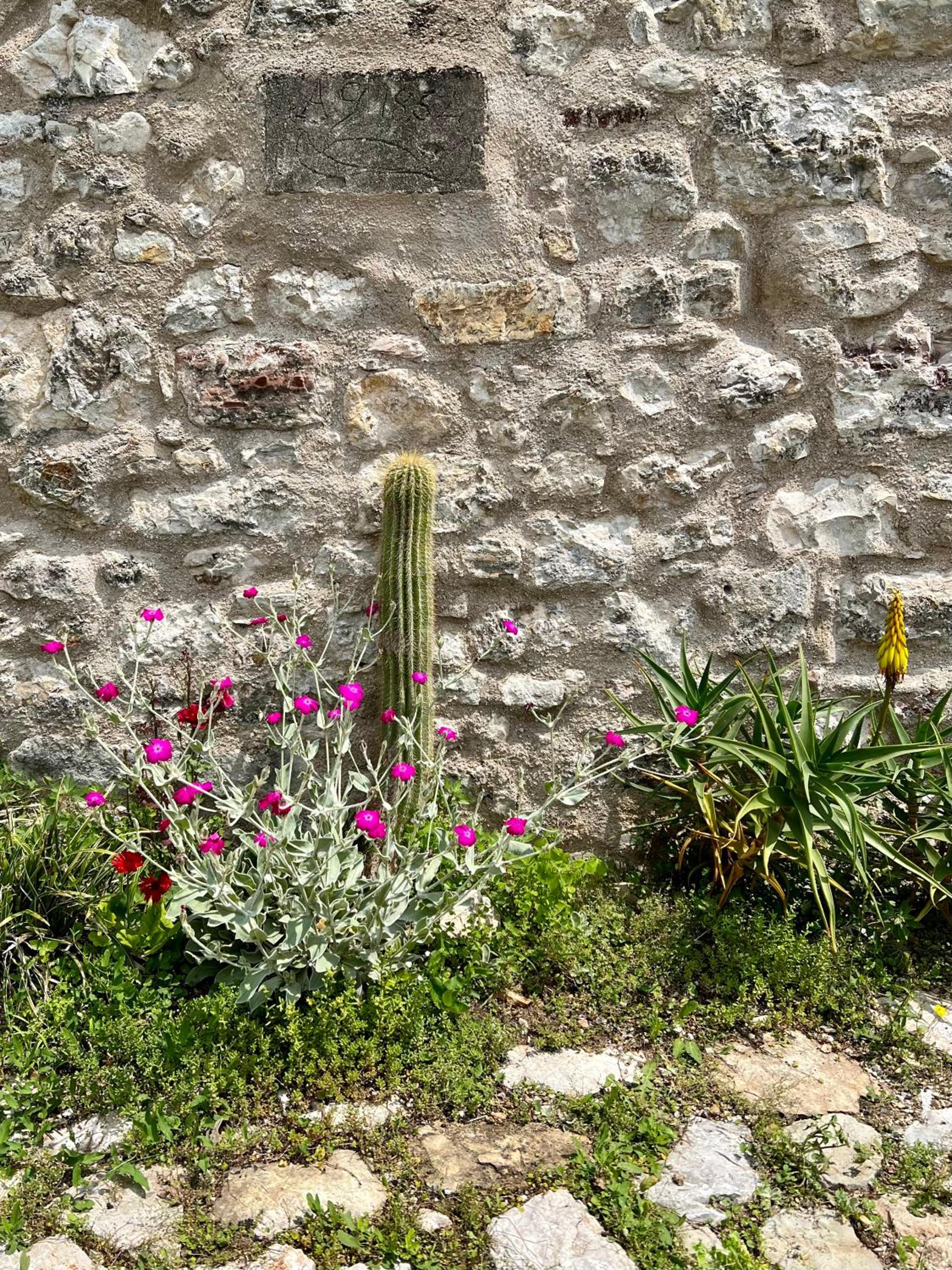 Photo 13
