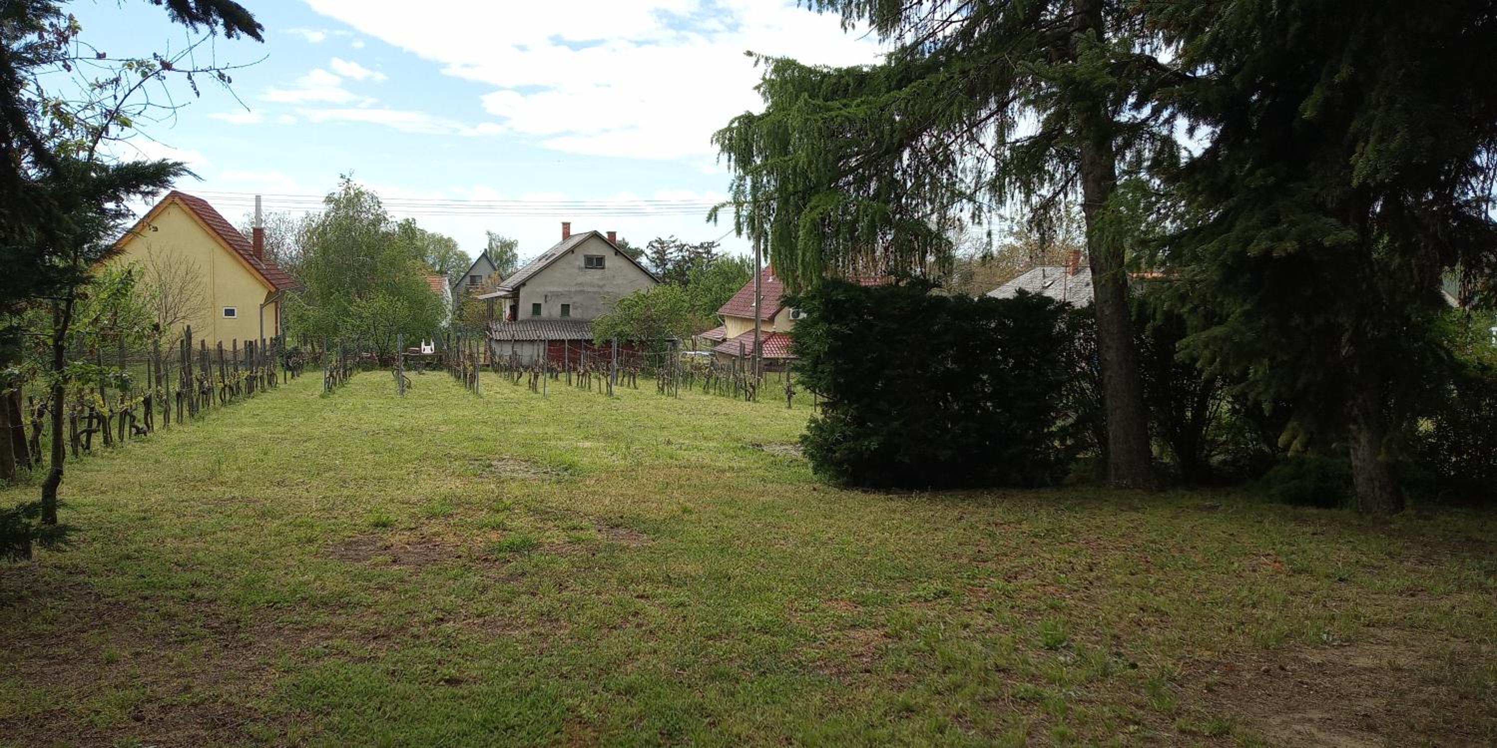 Photo 24