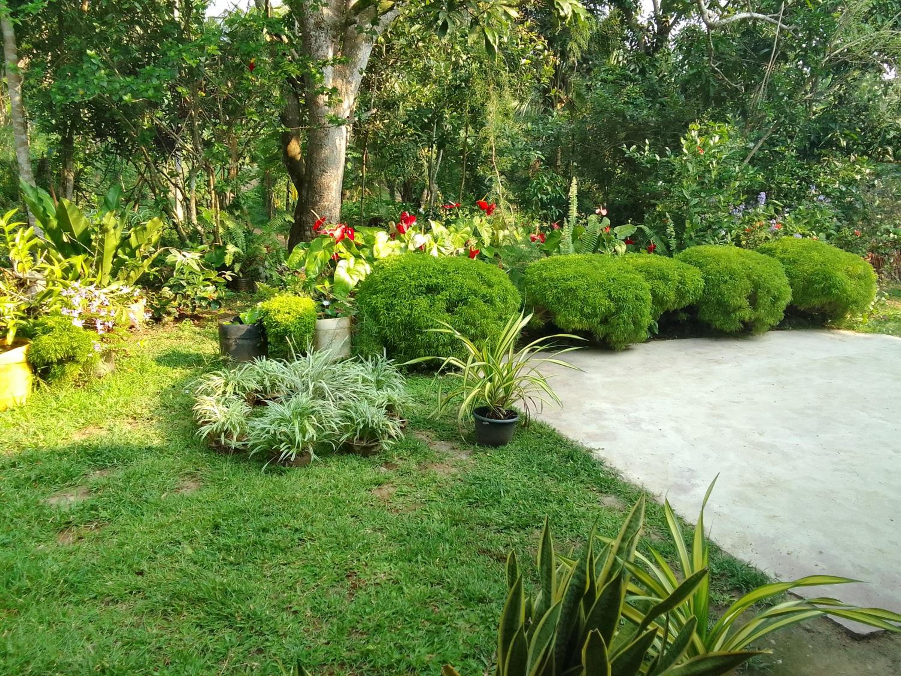Eco Residence view 2