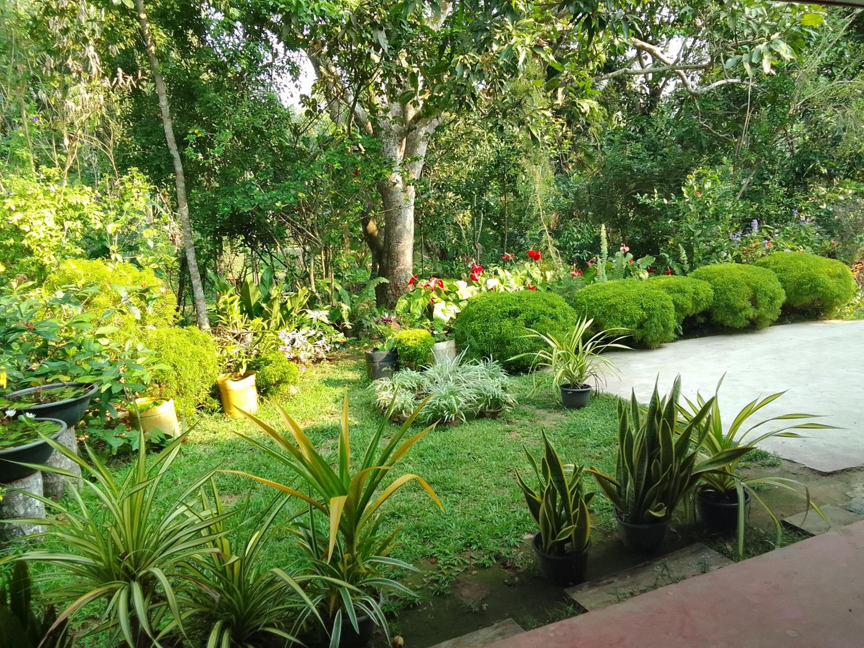 Eco Residence view 4