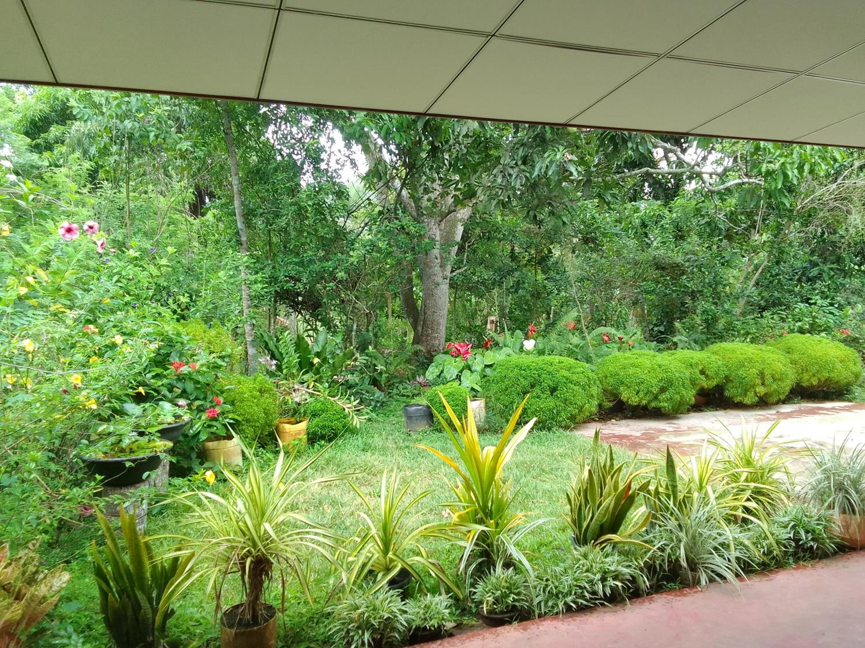 Eco Residence view 5