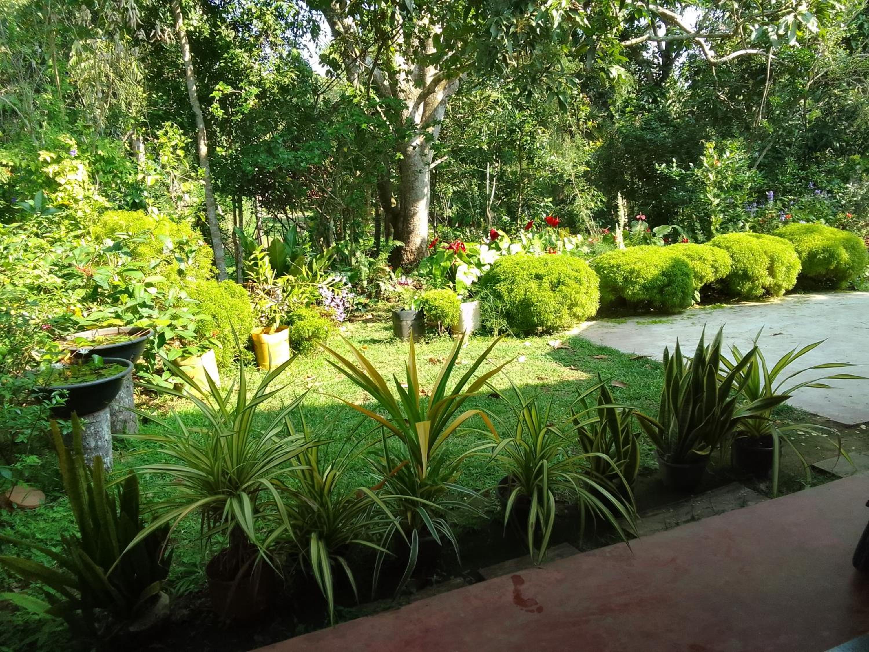 Photo 23