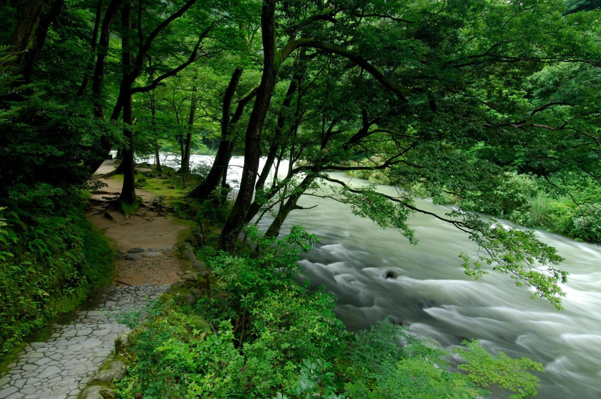 Shirasagiyu Tawaraya