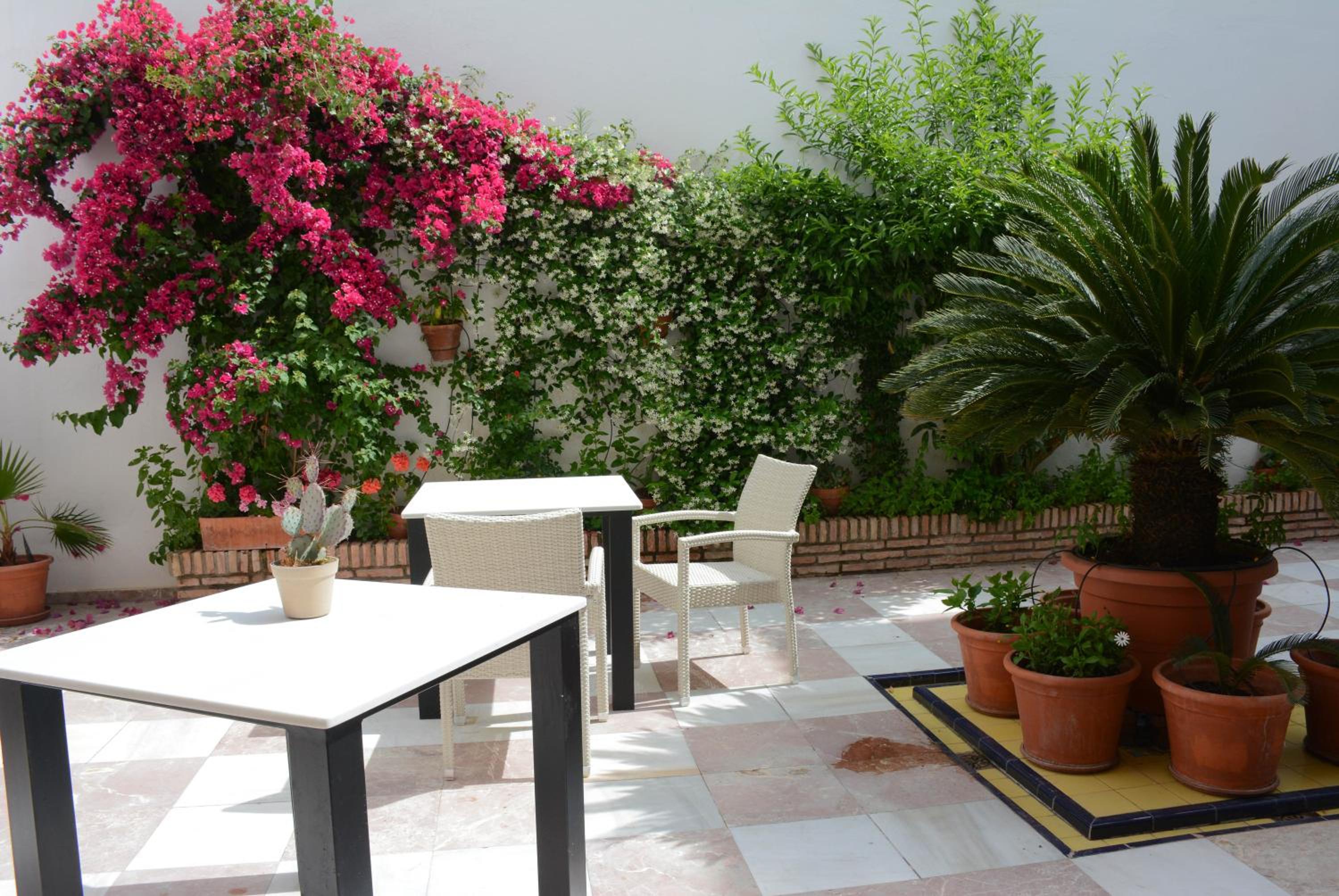 Apartamento 2 dormitorios