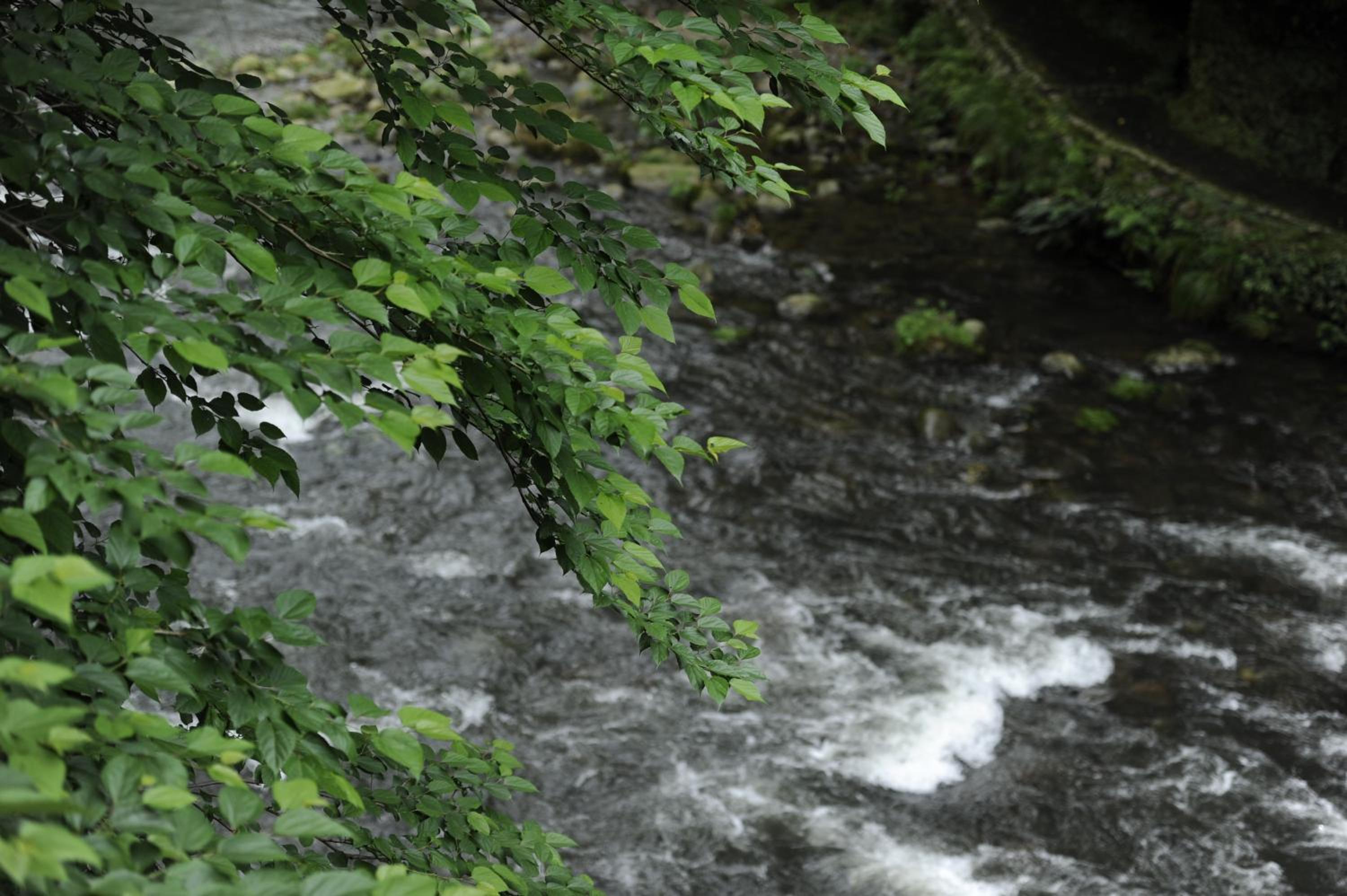 Shirasagiyu Tawaraya, คางะ - 17